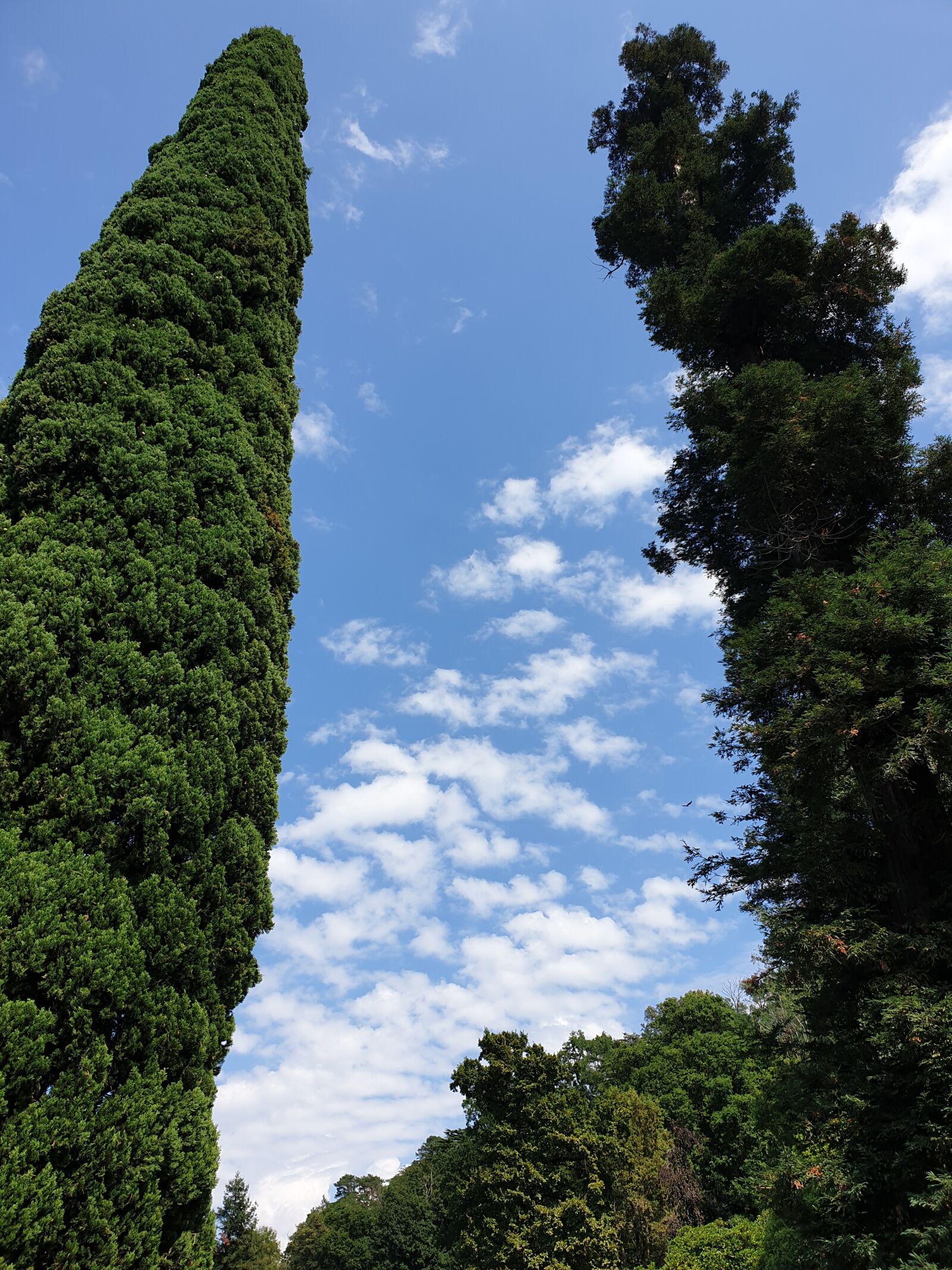 Samsung Galaxy S9 sample photo. Italy, bellagio, lake photography