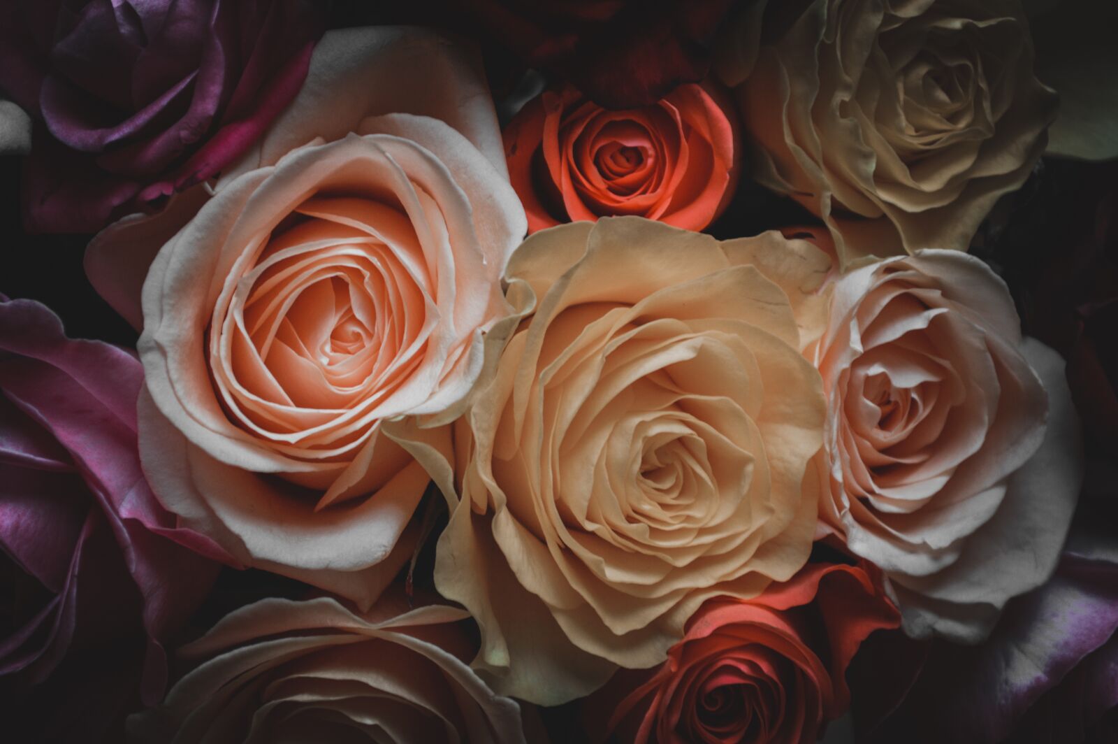 Nikon D3200 sample photo. International women's day, march photography
