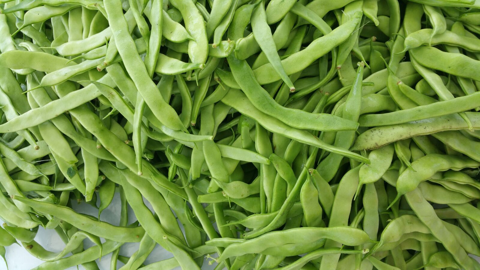 Samsung Galaxy Note4 sample photo. Bean, food, legume photography