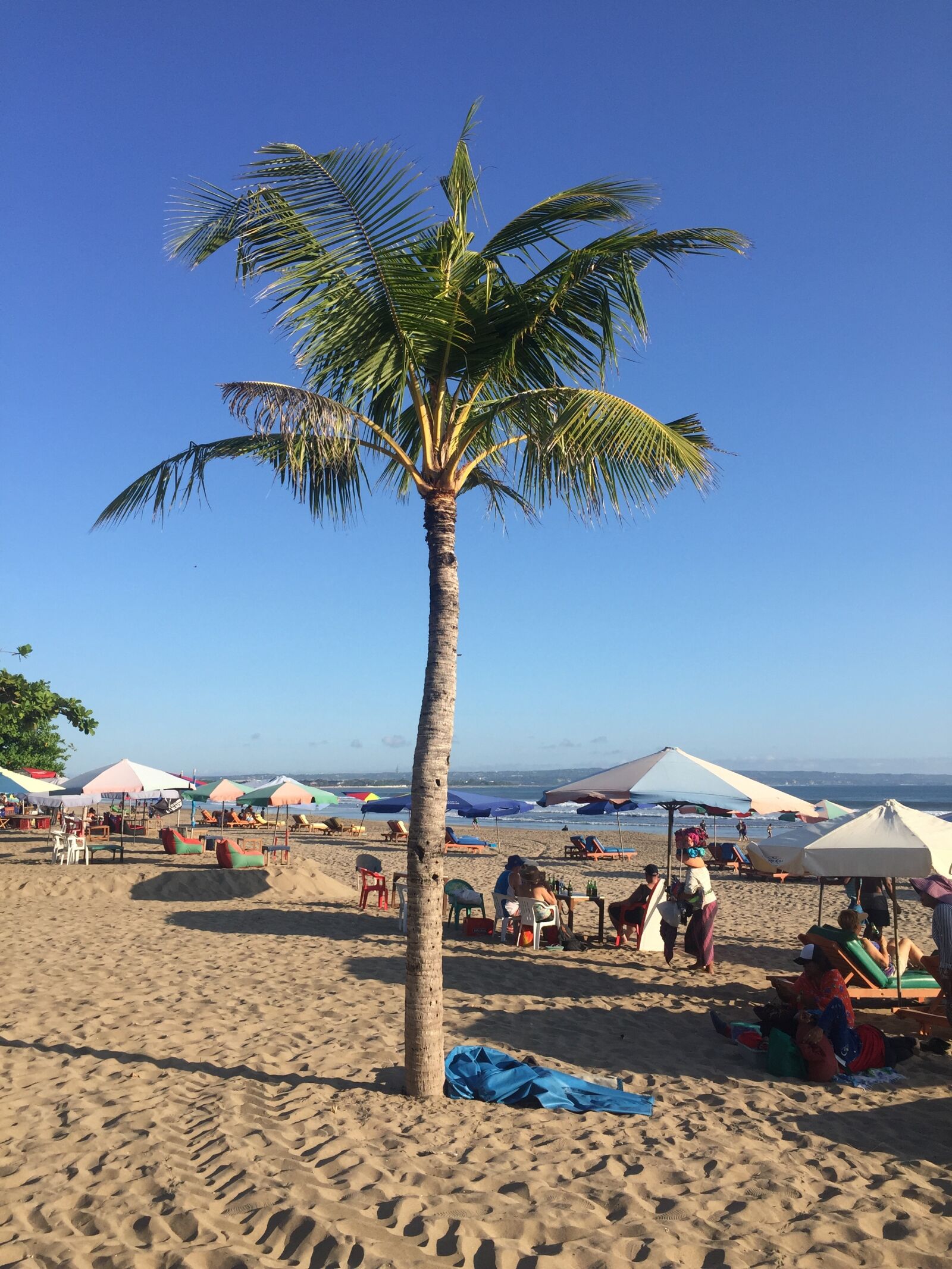 Apple iPhone 6 sample photo. Beach, palm trees, bali photography