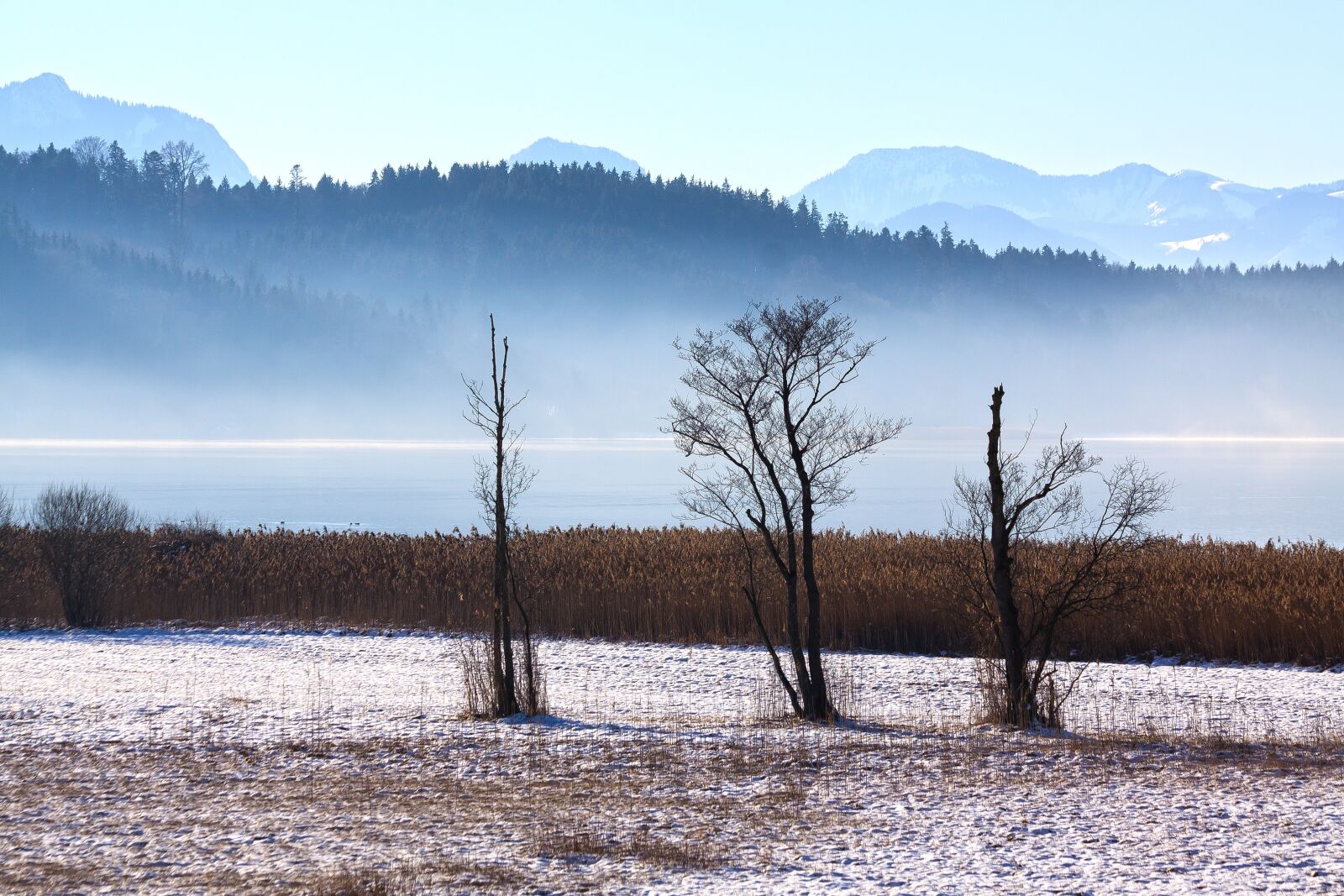 Canon EOS 50D + Canon EF 70-300mm F4-5.6 IS USM sample photo. Landscape, winter, trees photography
