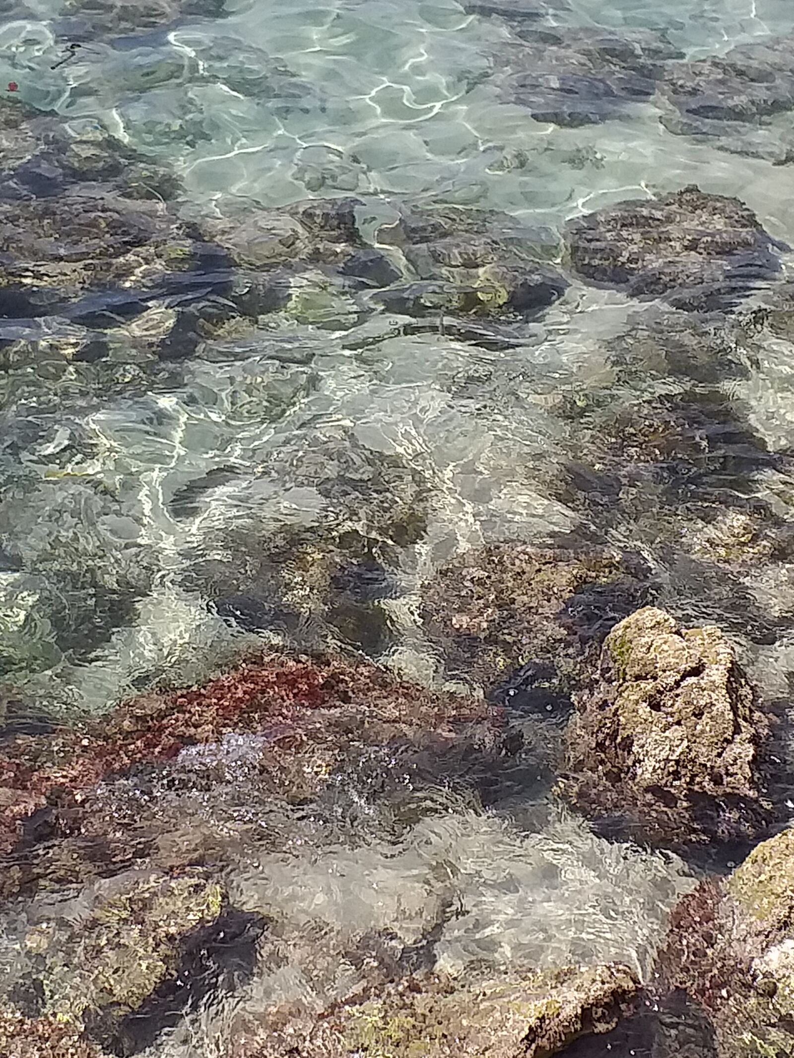 Samsung Galaxy J4+ sample photo. Sea, mallorca, summer photography