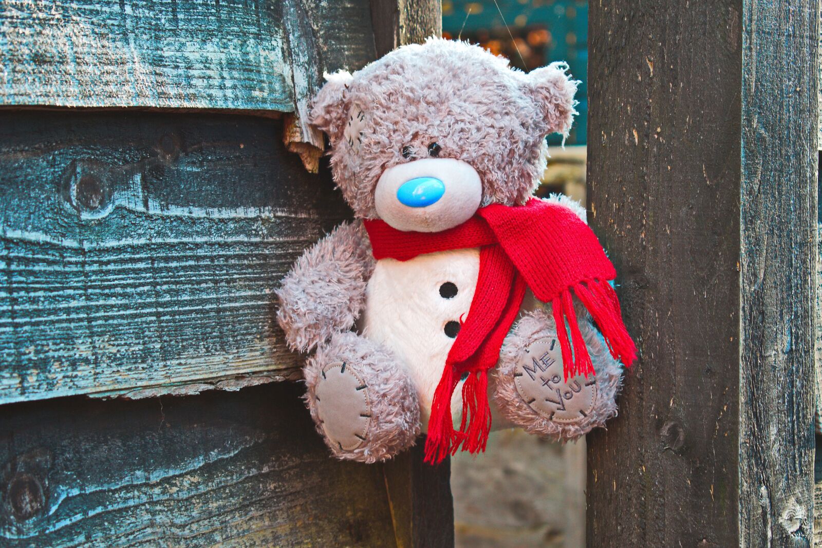 Nikon D3300 sample photo. Teddy bear, wood, teddy photography