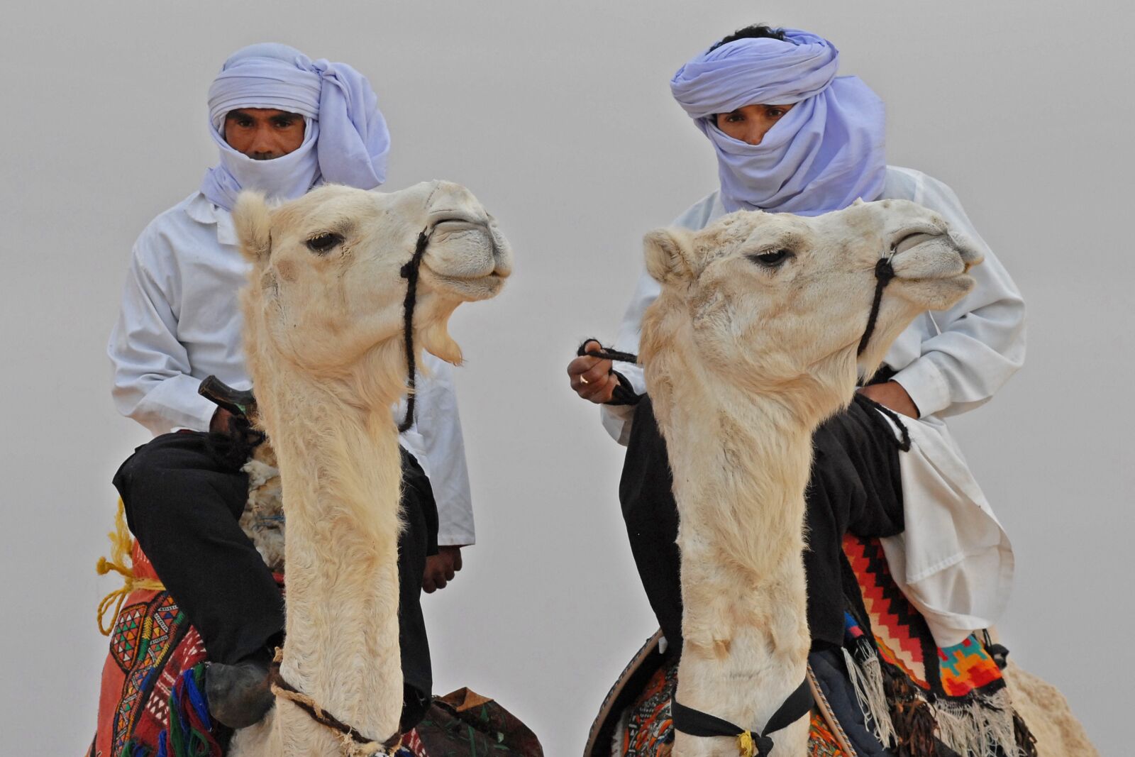 Nikon D200 sample photo. Man and animal, white photography