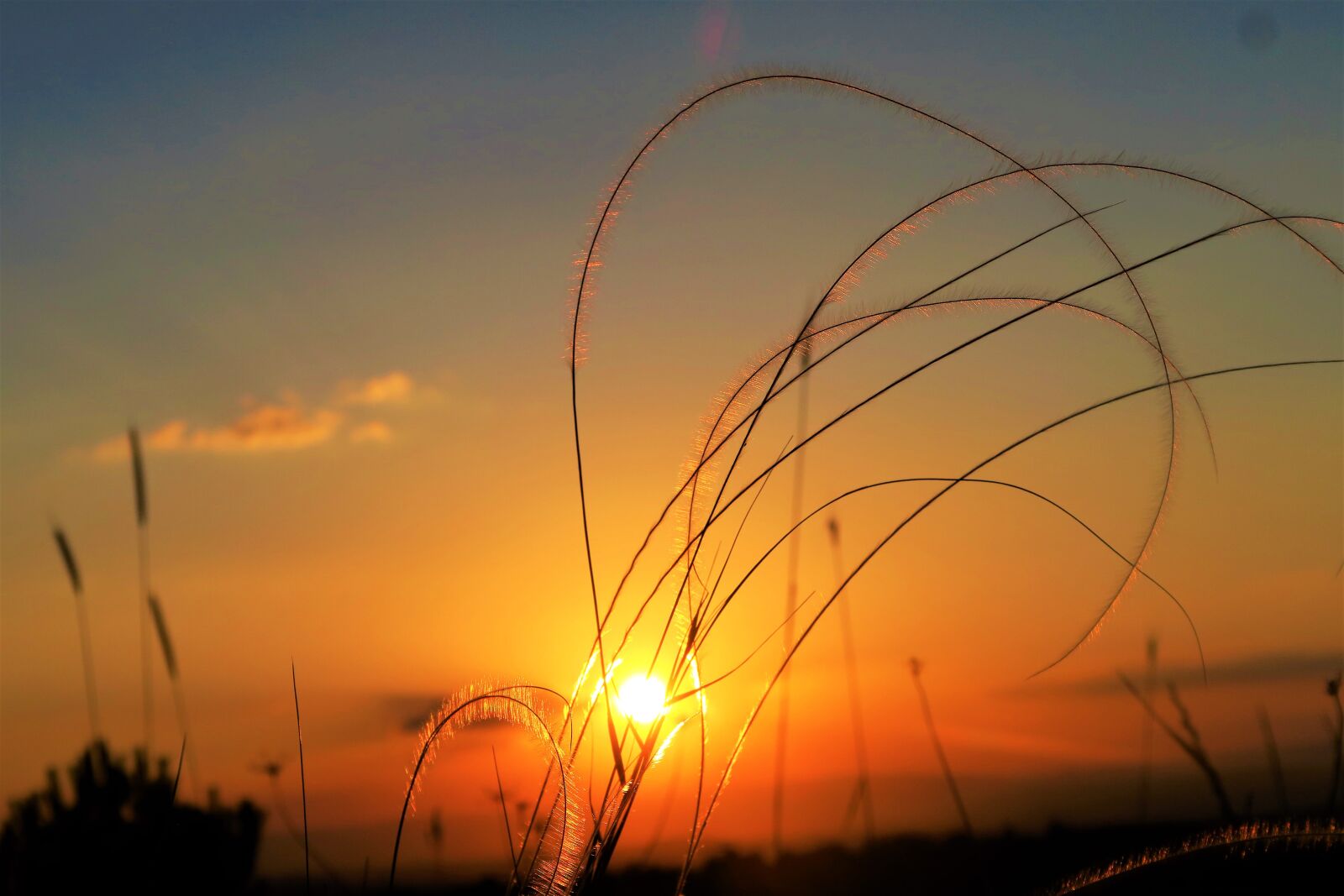 Canon PowerShot G7 X sample photo. In the evening, dawn photography