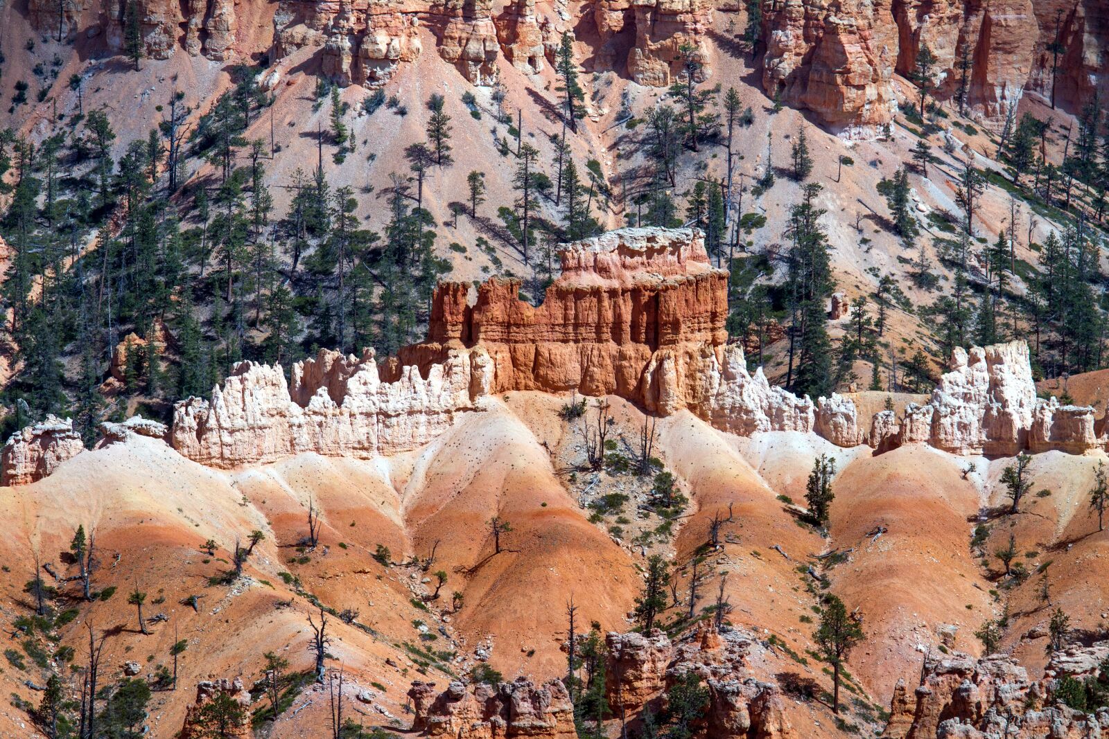 Canon EOS 7D sample photo. Bryce canyon, paunsaugunt plateau photography
