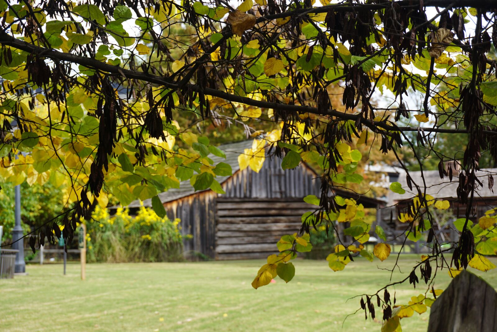 Sony a6000 sample photo. Scenic, rustic setting, autumn photography