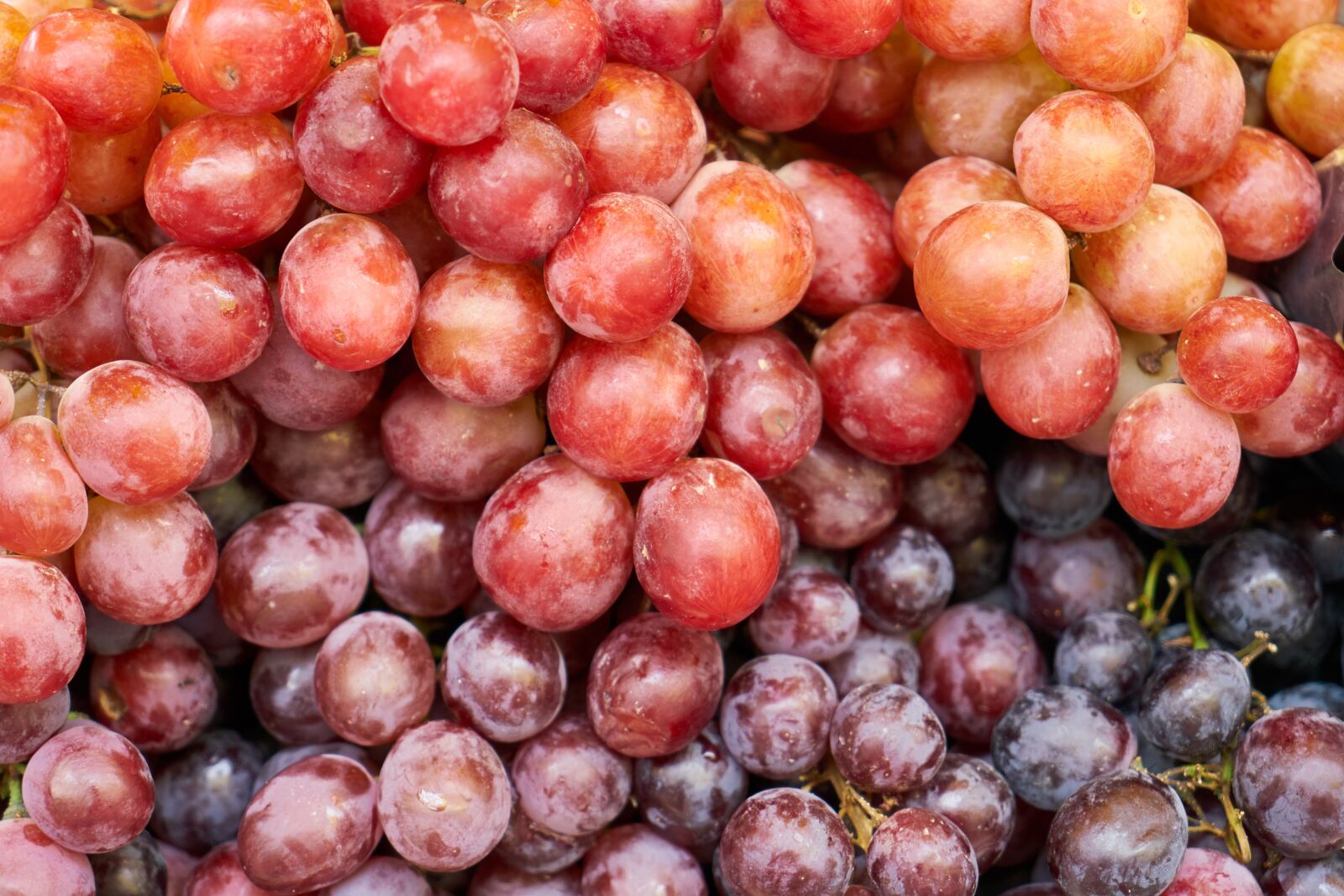Sony a7R II sample photo. Meyce, raisin, food photography