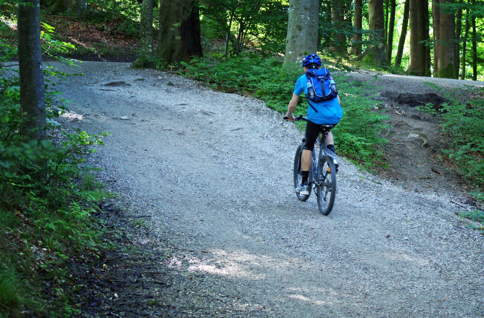 55.0-200.0mm f/4.0-f/5.6 sample photo. Mountain bike, cycling, bike photography