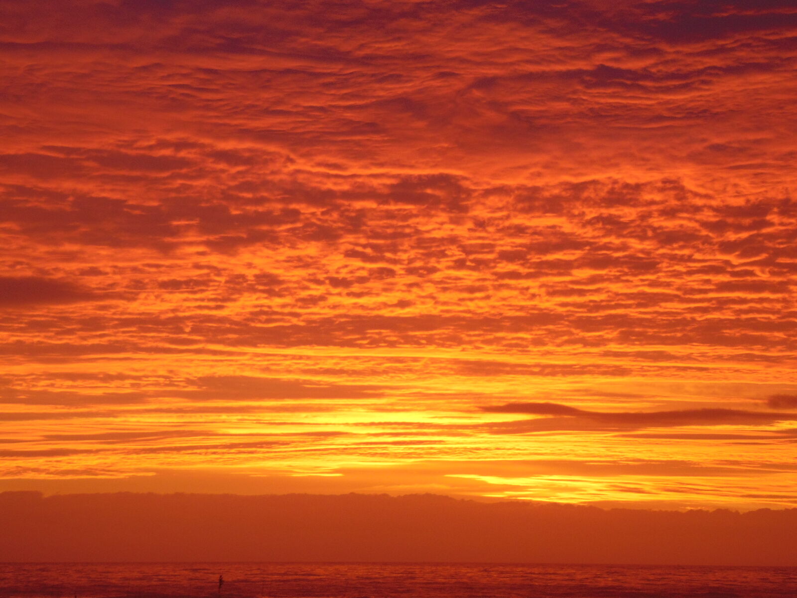 Sony Cyber-shot DSC-H300 sample photo. Florida, ocean, sunrise photography