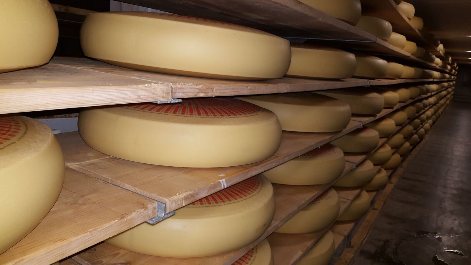 Samsung Galaxy S6 sample photo. Cheese, mature, stock photography