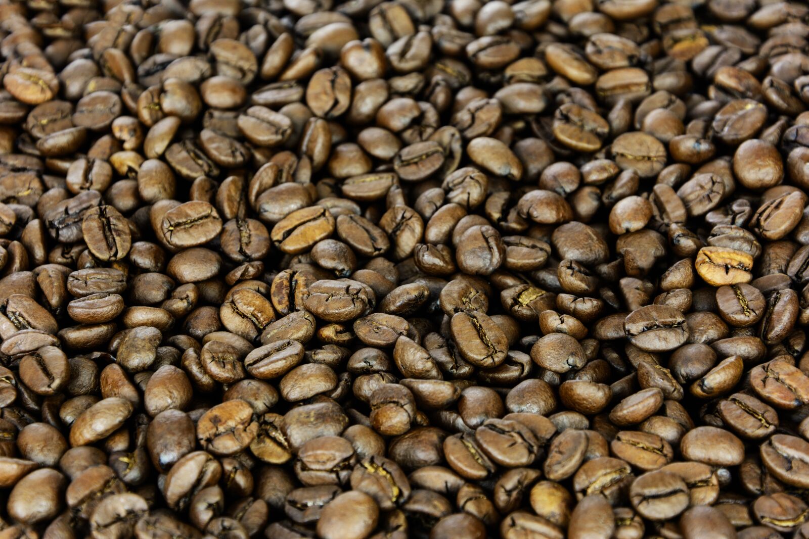Nikon D7100 sample photo. Grain coffee, the background photography