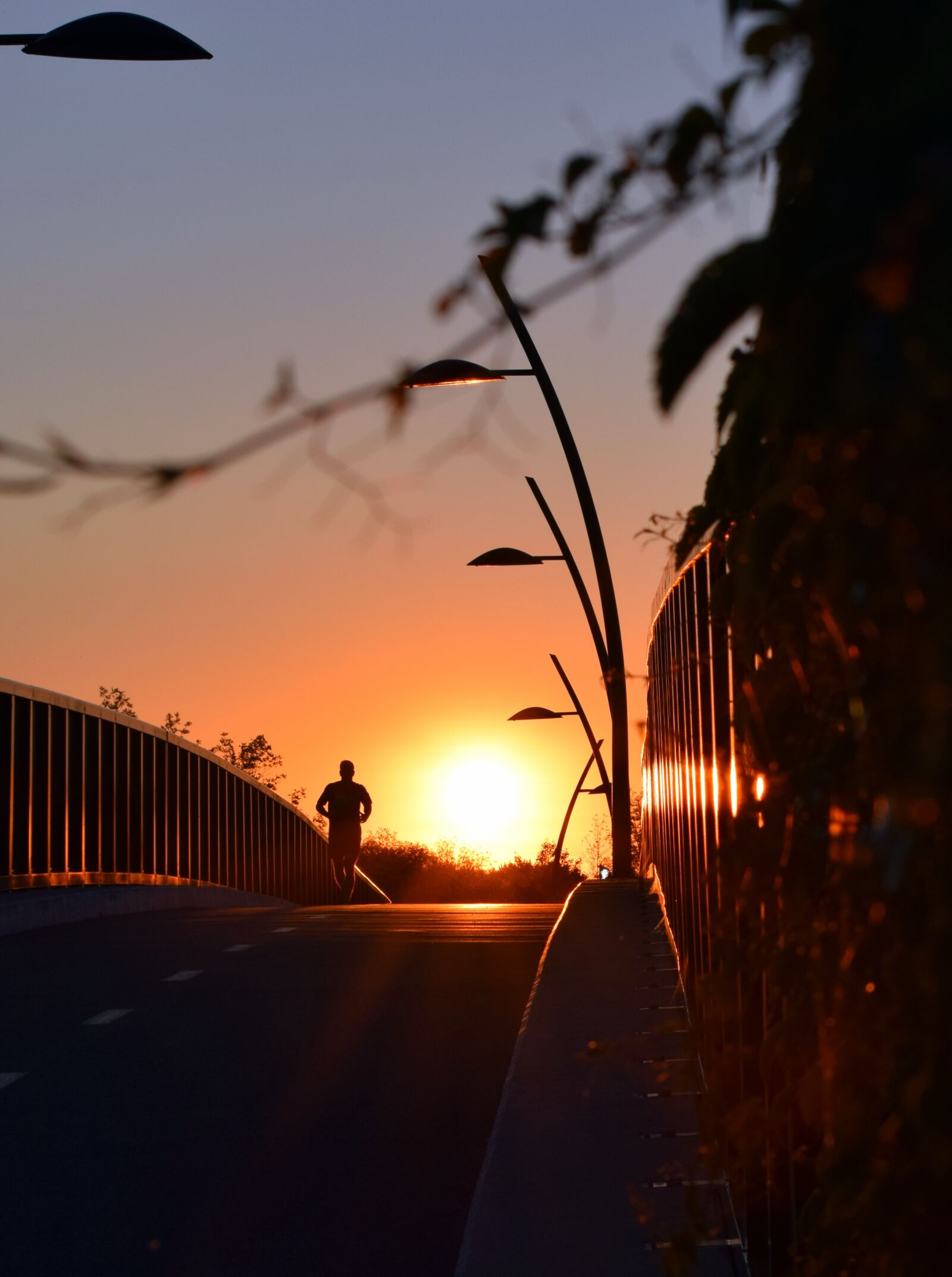 Nikon D3300 sample photo. Sunset, sun, sky photography