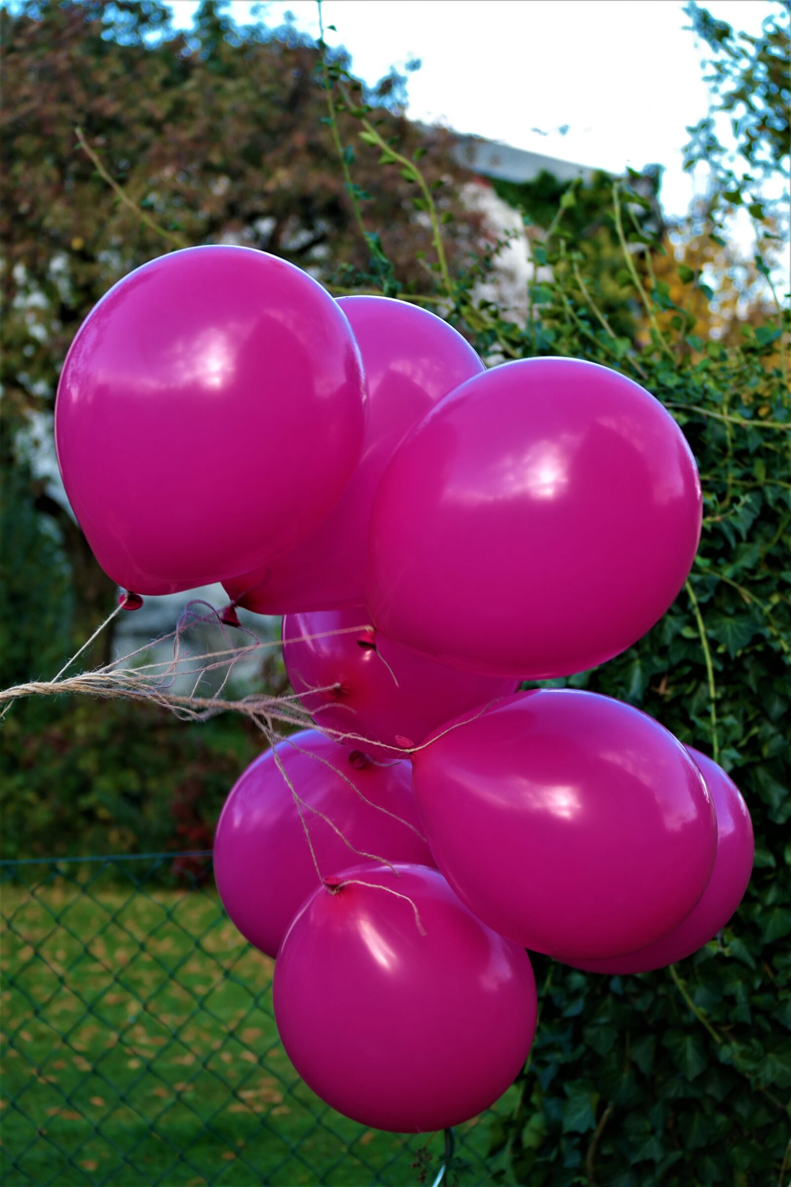 Samsung NX30 + NX 50-200mm F4-5.6 sample photo. Balloon, flying, pink photography