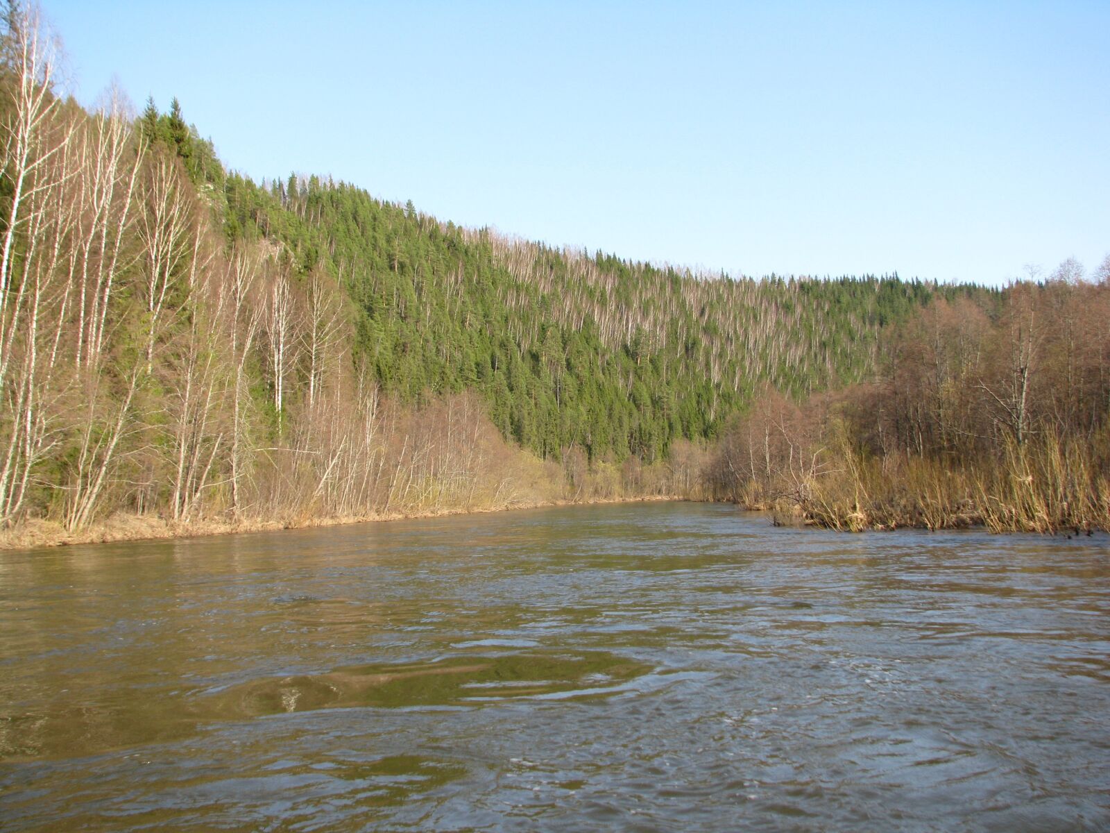 Canon POWERSHOT S5 IS sample photo. The river vijay, perm photography