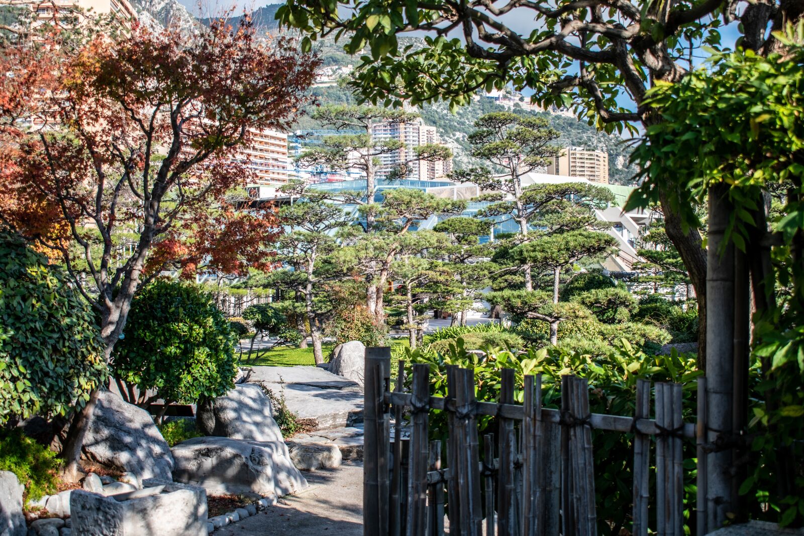 Nikon D5600 sample photo. Park, buildings, city photography
