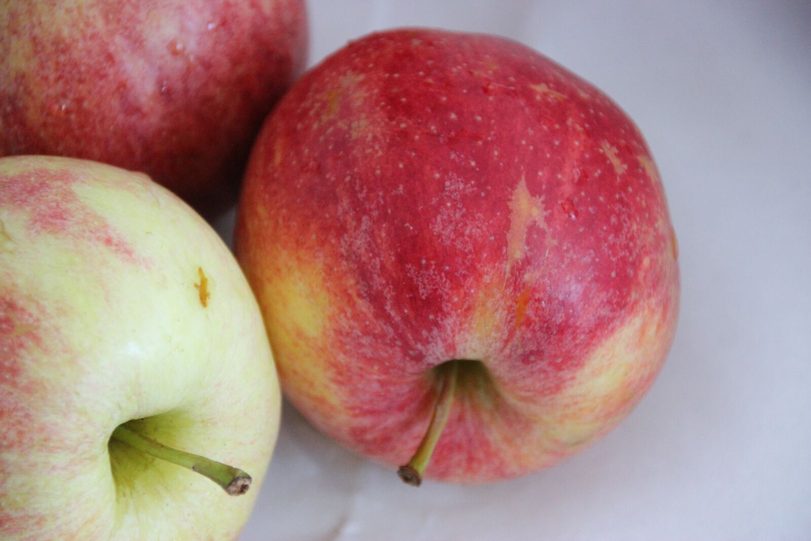 Canon EOS 600D (Rebel EOS T3i / EOS Kiss X5) sample photo. Apple, fresh, fruit photography