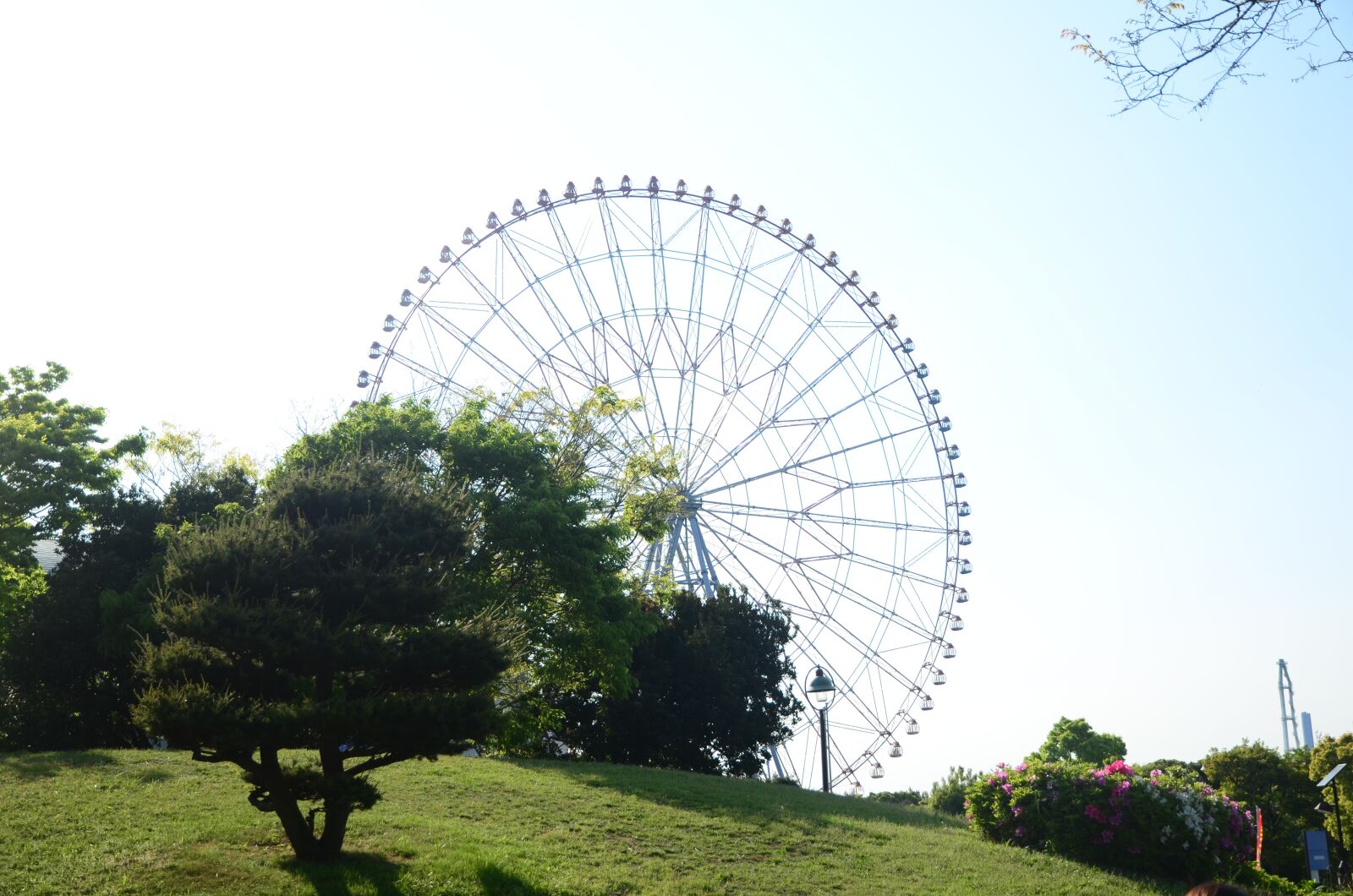 Nikon D7000 sample photo. Ferris wheel, tokyo, sea photography