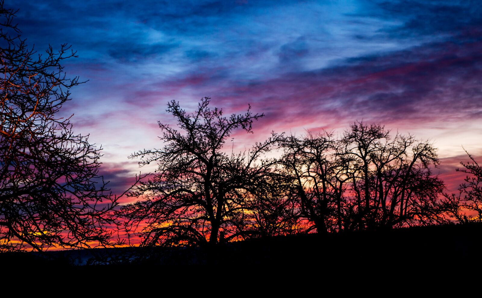 Pentax K-50 sample photo. Sunrise, trees, backlighting photography