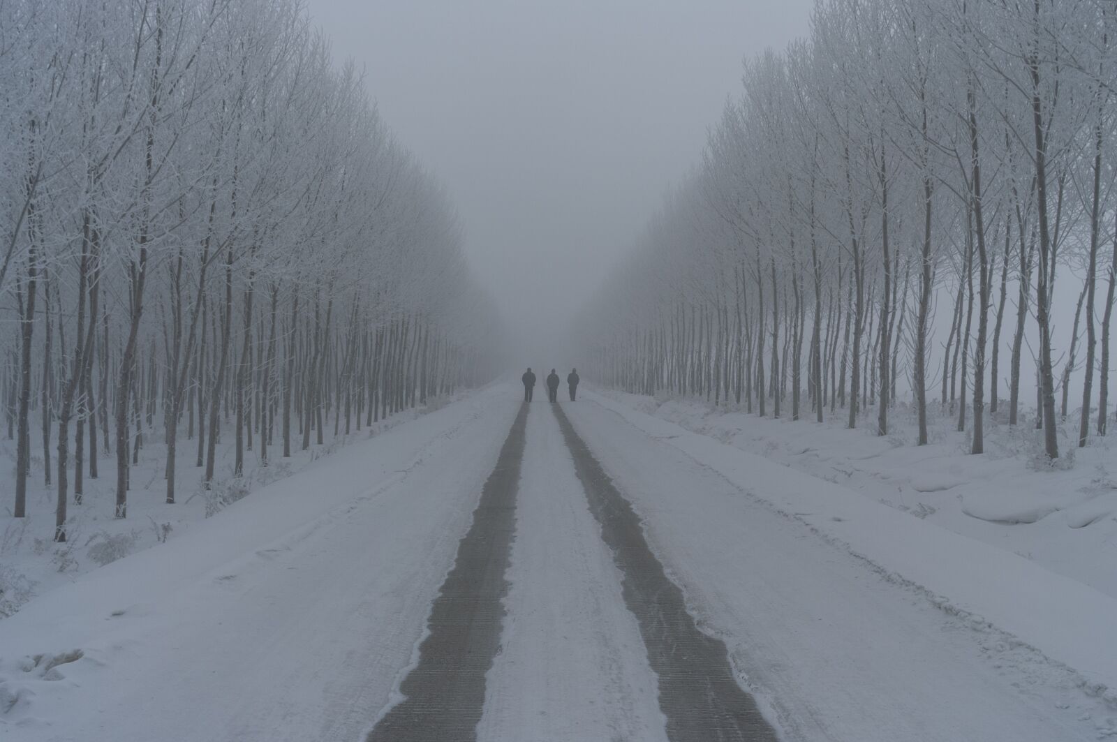 Pentax K20D sample photo. The fog, winter, passers photography