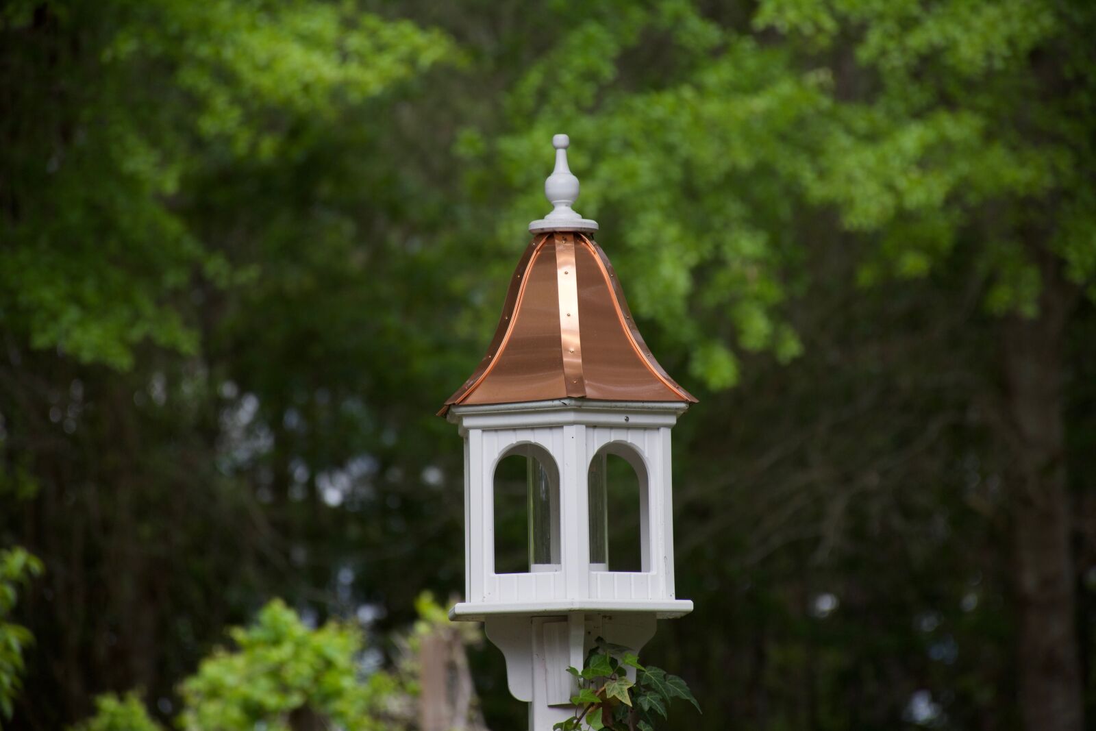 Nikon D7100 sample photo. Bird, feeder, backyard photography