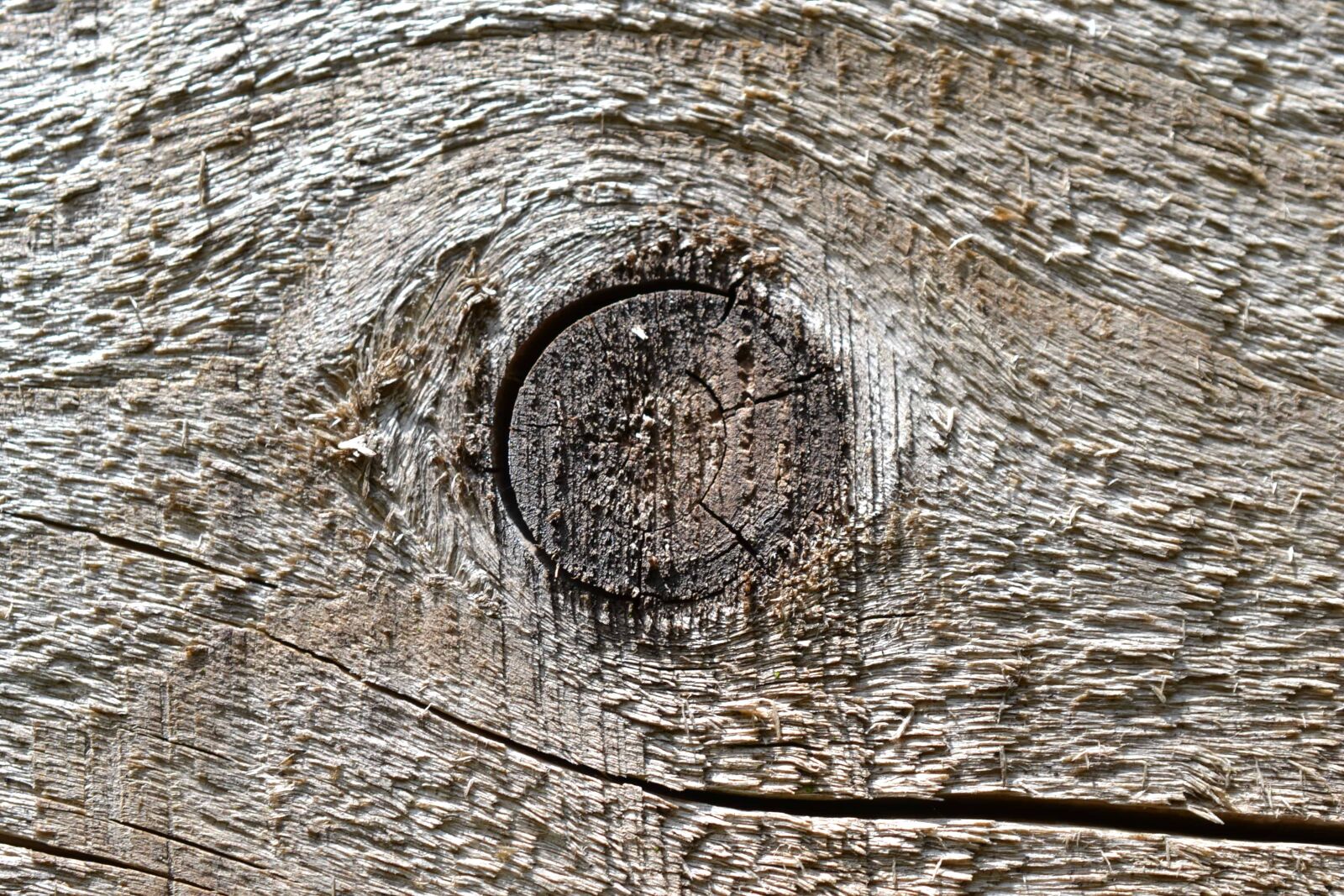 Nikon AF-S DX Micro Nikkor 40mm F2.8 sample photo. Material, detail, wood plank photography