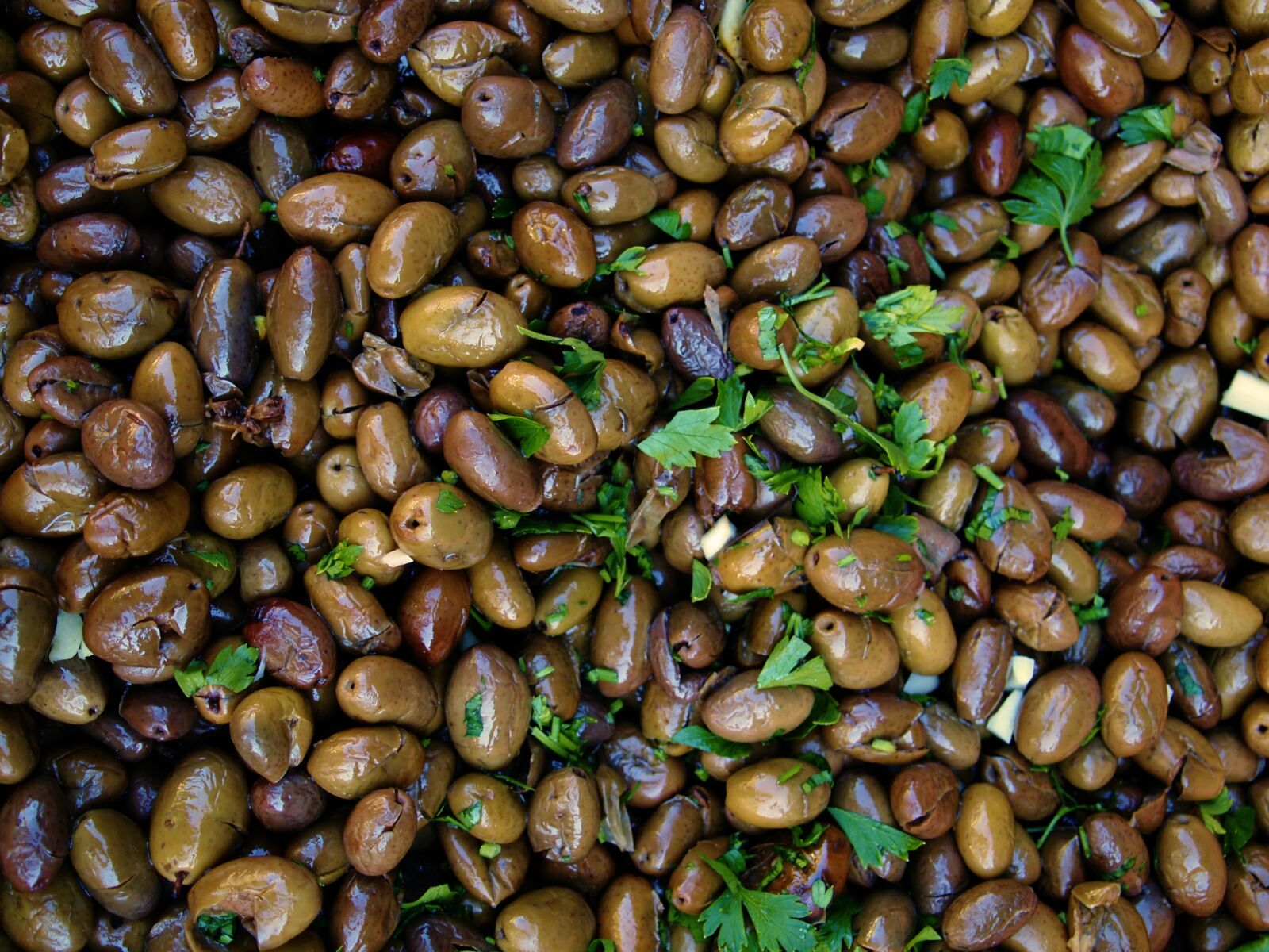 Olympus E-330 (EVOLT E-330) sample photo. Olives, nature, oil photography