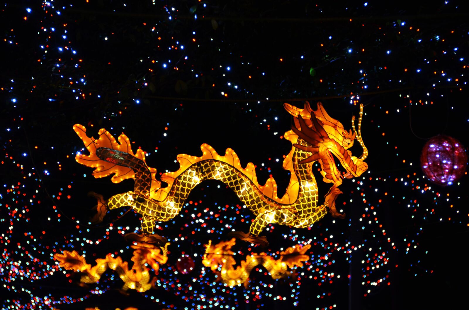 Nikon D5100 sample photo. Lantern, dragon, lantern festival photography