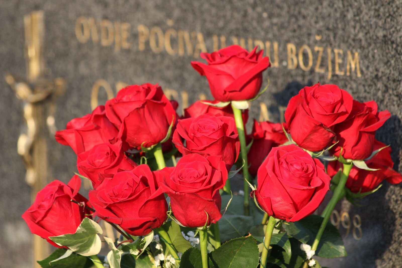 Canon EOS 600D (Rebel EOS T3i / EOS Kiss X5) sample photo. Red roses bouquet, condolence photography