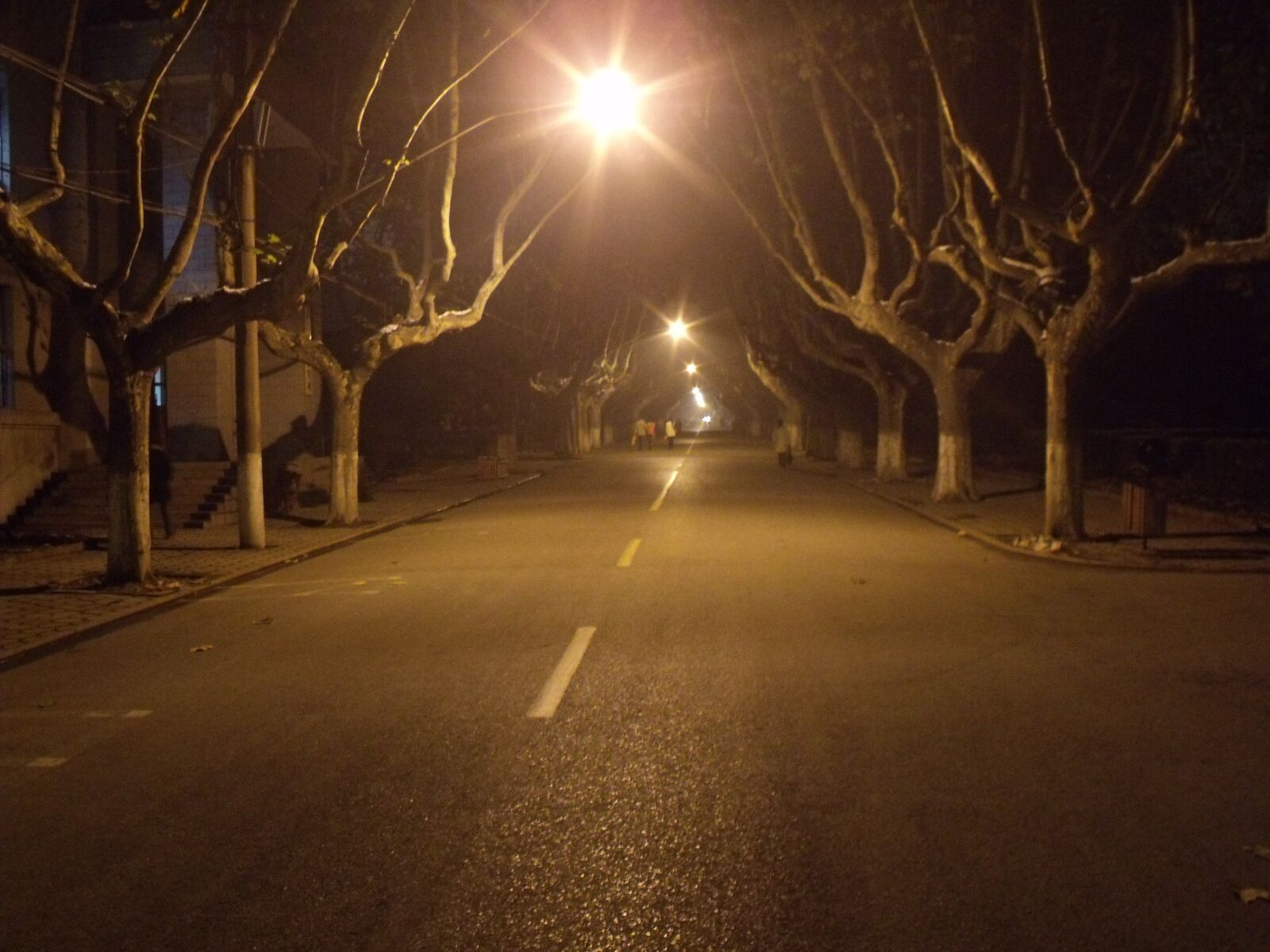 Fujifilm FinePix S1500 sample photo. Night road, street lamp photography