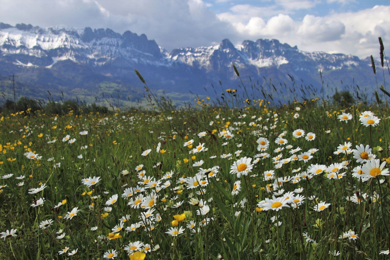 Canon EOS 80D sample photo. The alps, spring, meadows photography
