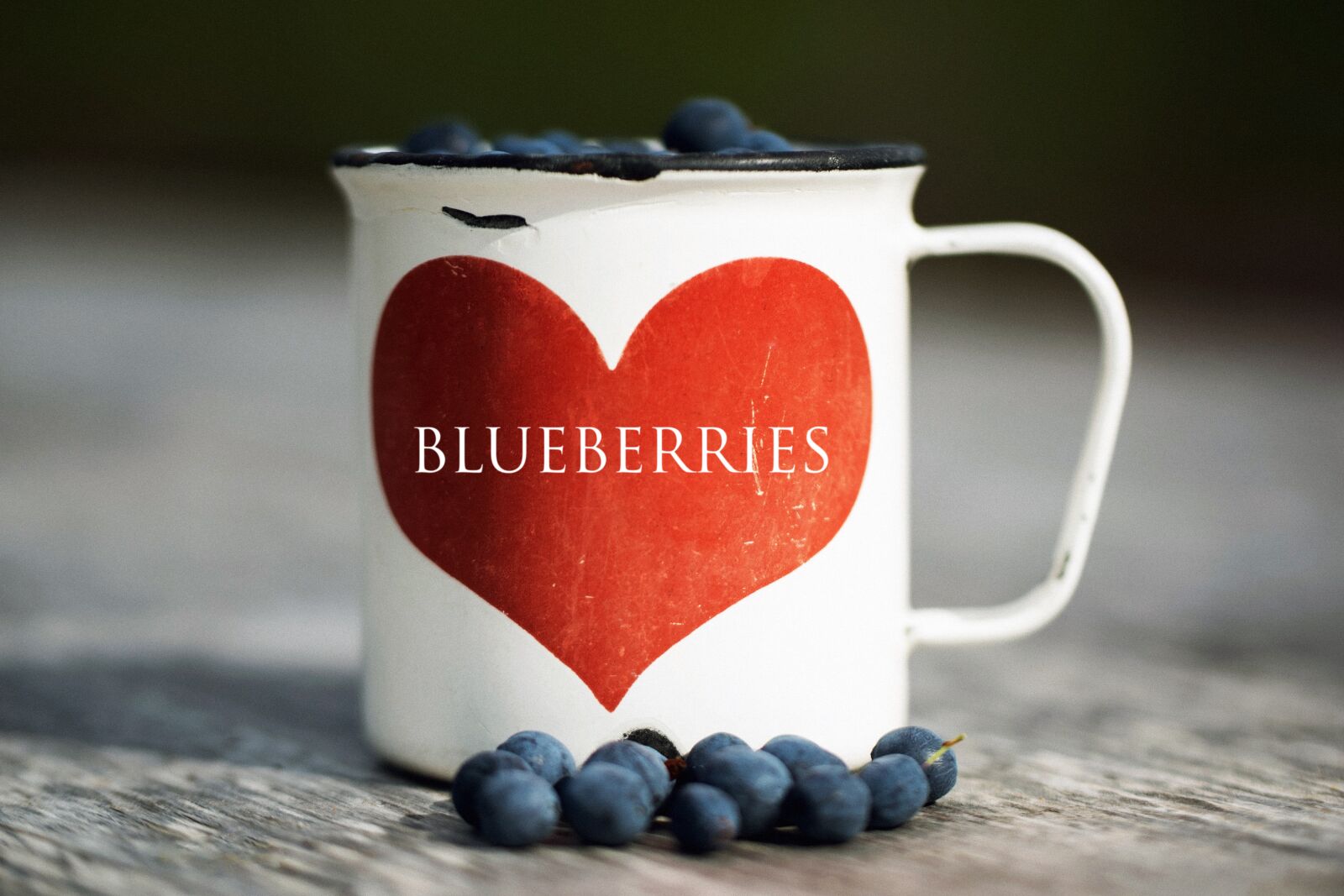 Nikon D3300 sample photo. Nature, berry, blueberry photography