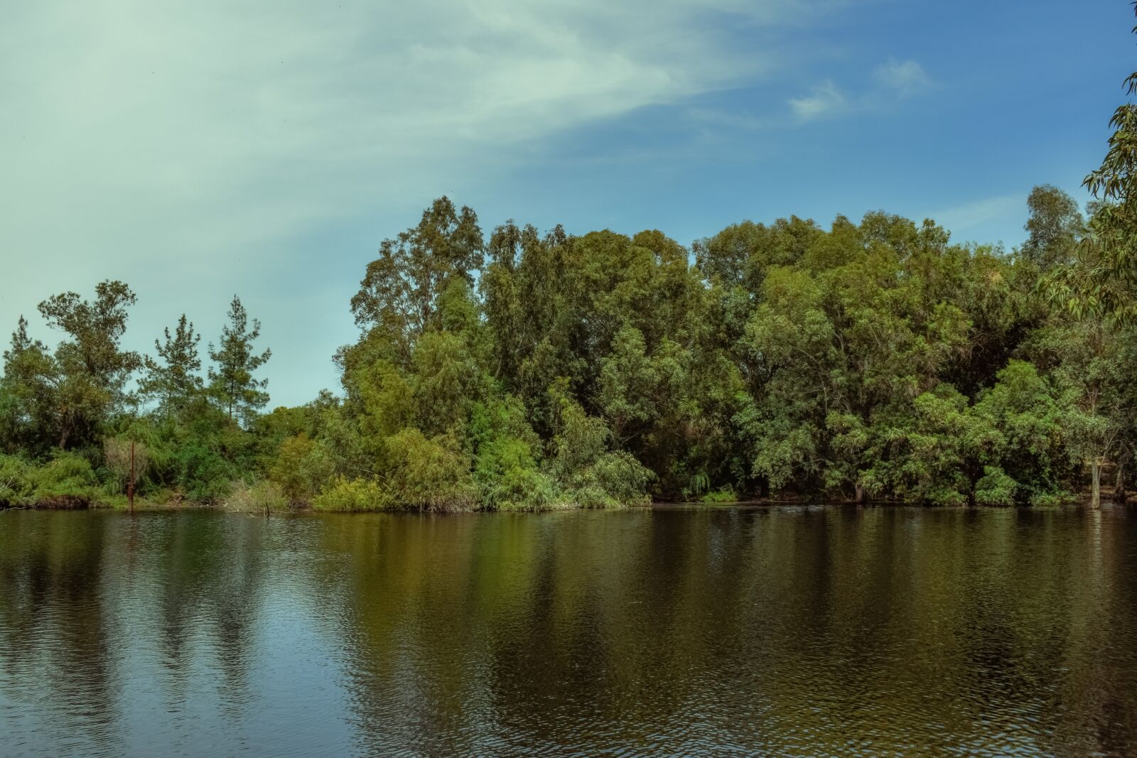 Nikon D3300 sample photo. Lake, trees, nature photography