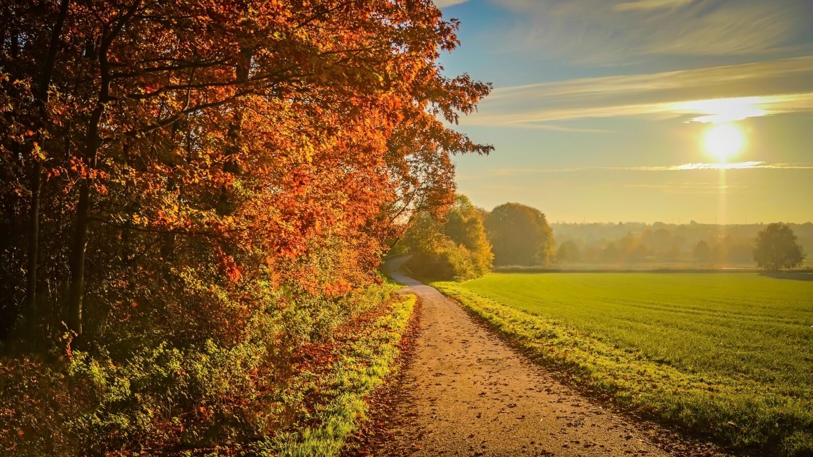 Canon EF-S 17-85mm F4-5.6 IS USM sample photo. Sunset, autumn, landscape photography