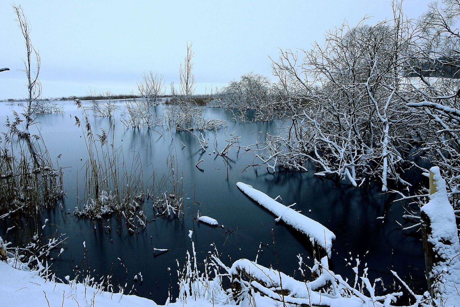 Nikon Coolpix P900 sample photo. Winter, snow, frost photography