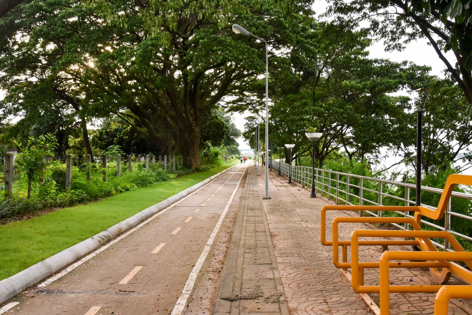 Nikon D7200 sample photo. Road, bicycle-lane, bike photography