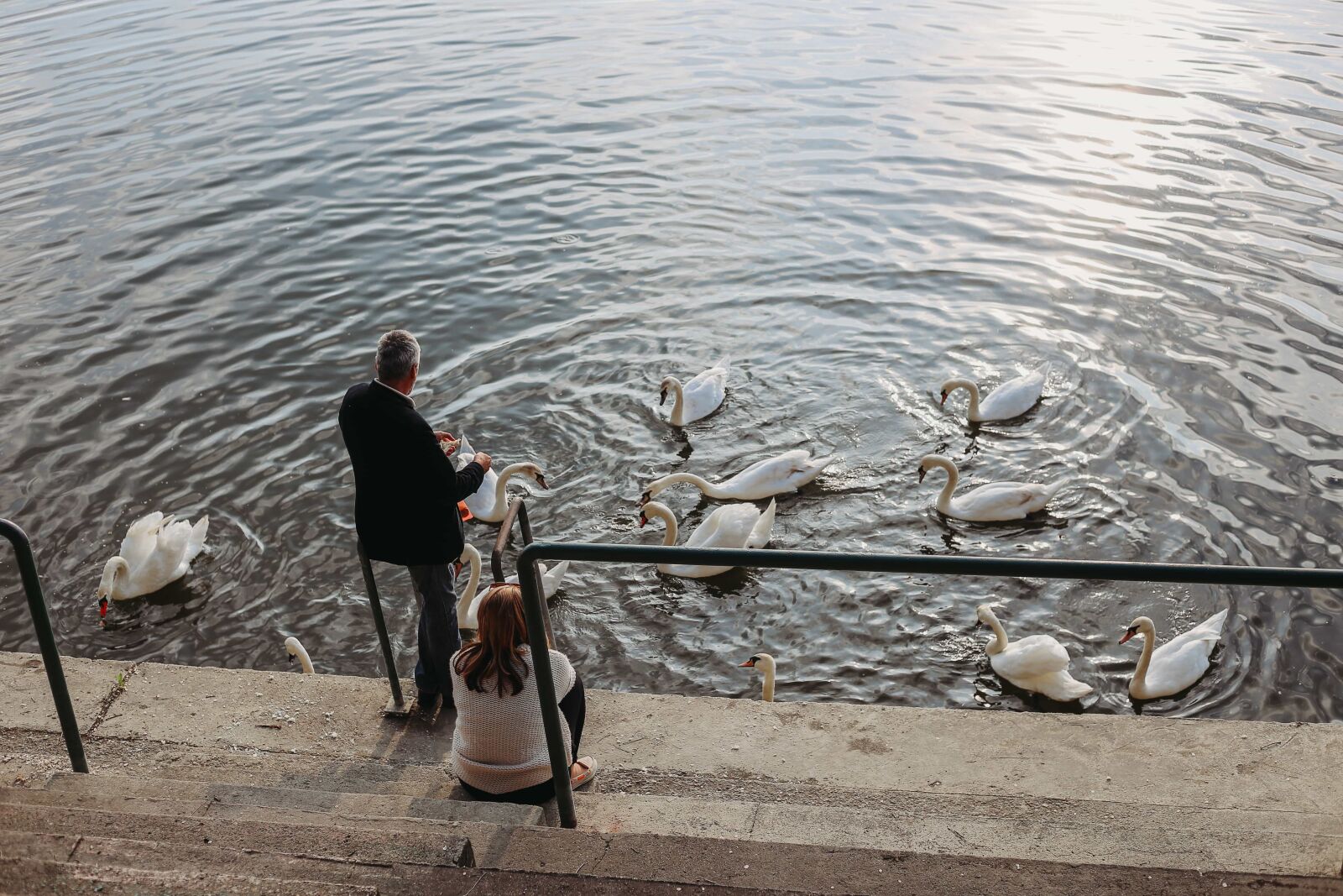 Canon EOS 6D + Canon EF 50mm F1.8 STM sample photo. Businessman, feeding, recreation, spare photography