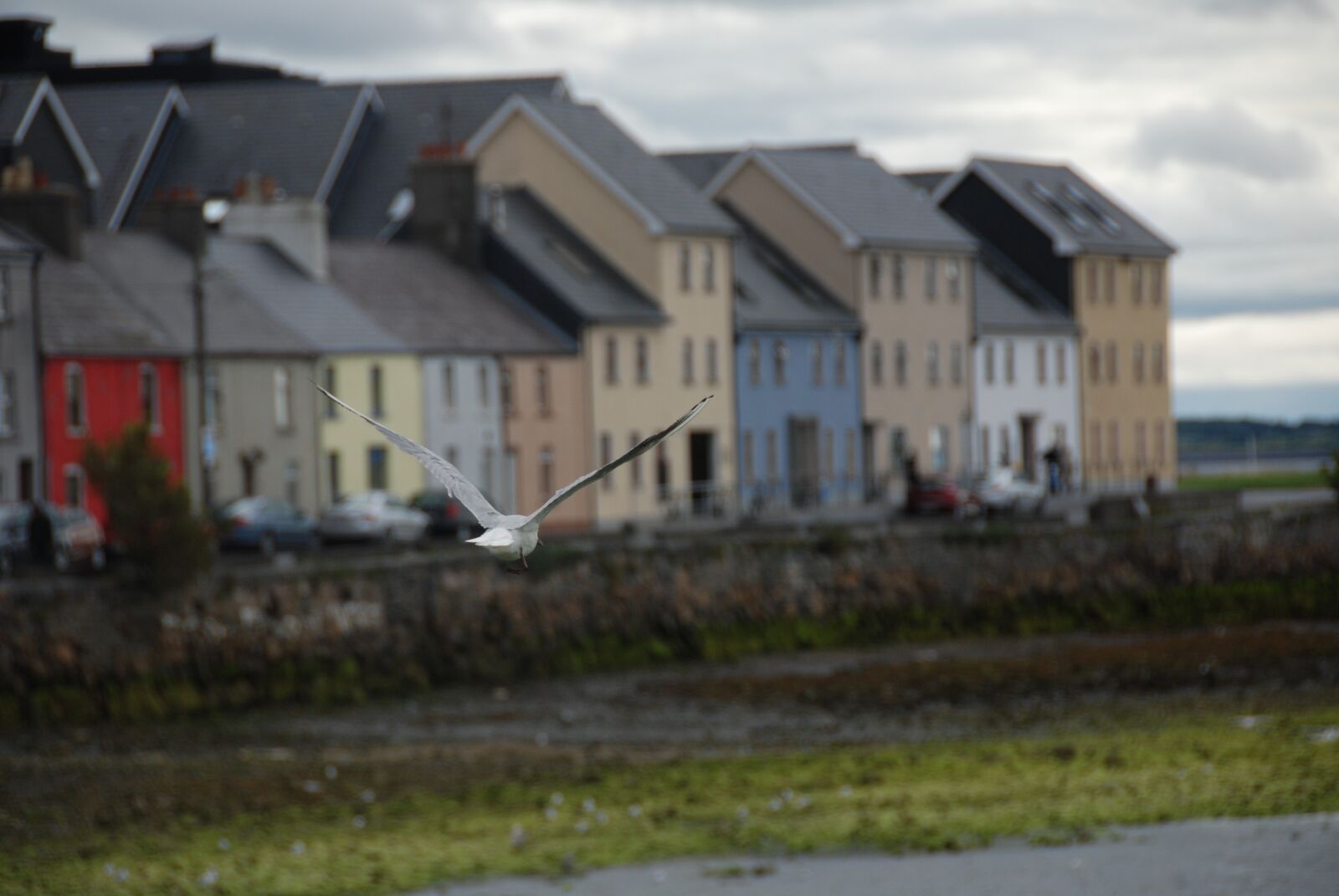 Nikon D80 sample photo. Galway, ireland, landscape photography