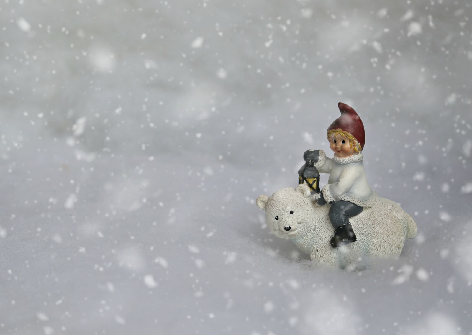 Canon EF-S 60mm F2.8 Macro USM sample photo. Polar bear, child, lantern photography