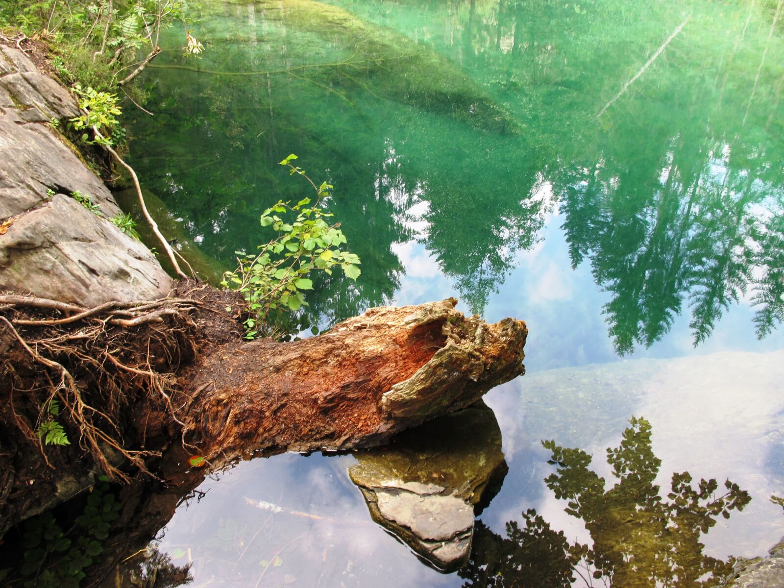 Canon PowerShot G12 sample photo. Lake, nature, wood photography