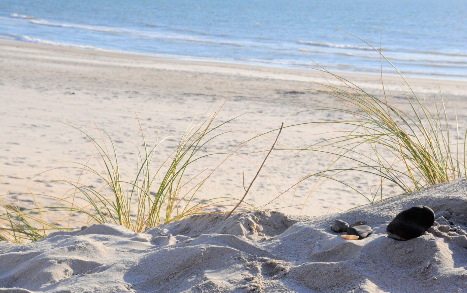 Nikon D90 sample photo. North sea, dune, grass photography