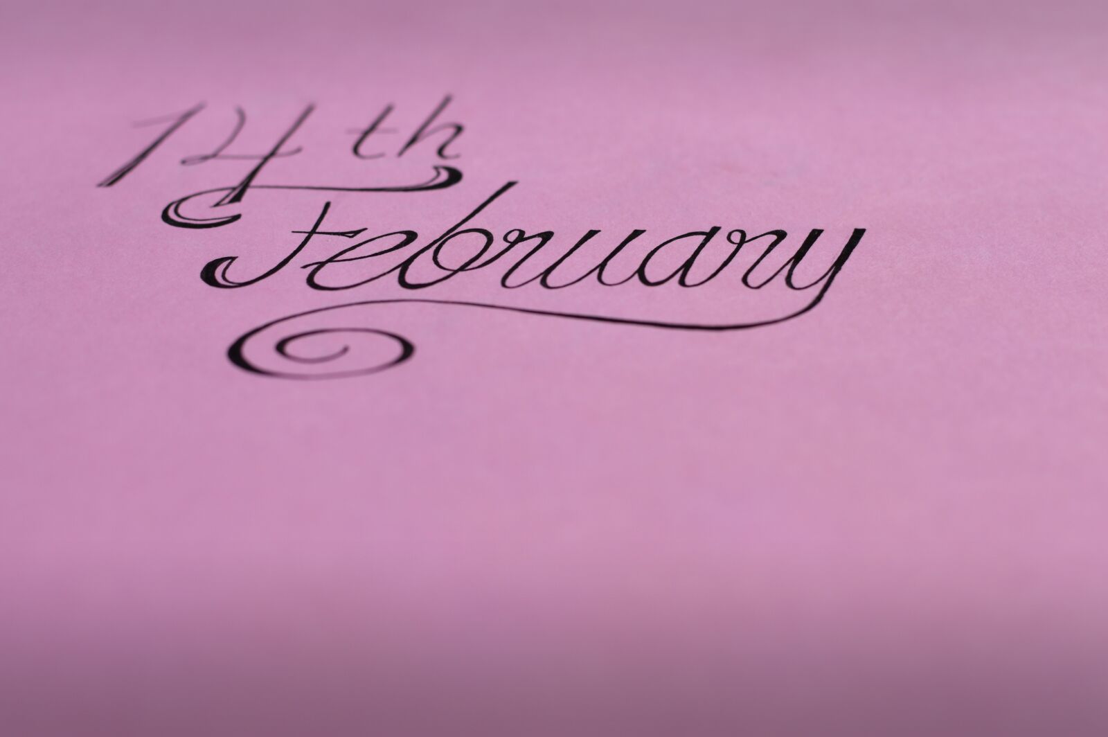Nikon D3200 sample photo. Lyrics, february, rosa photography