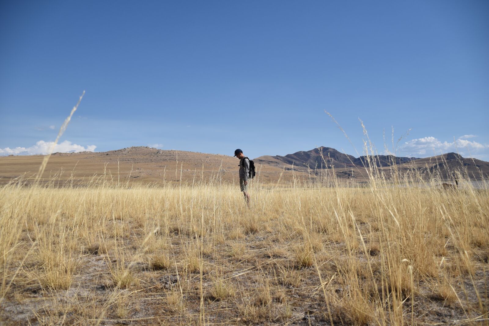 Nikon D5500 sample photo. Nature, alone, national park photography