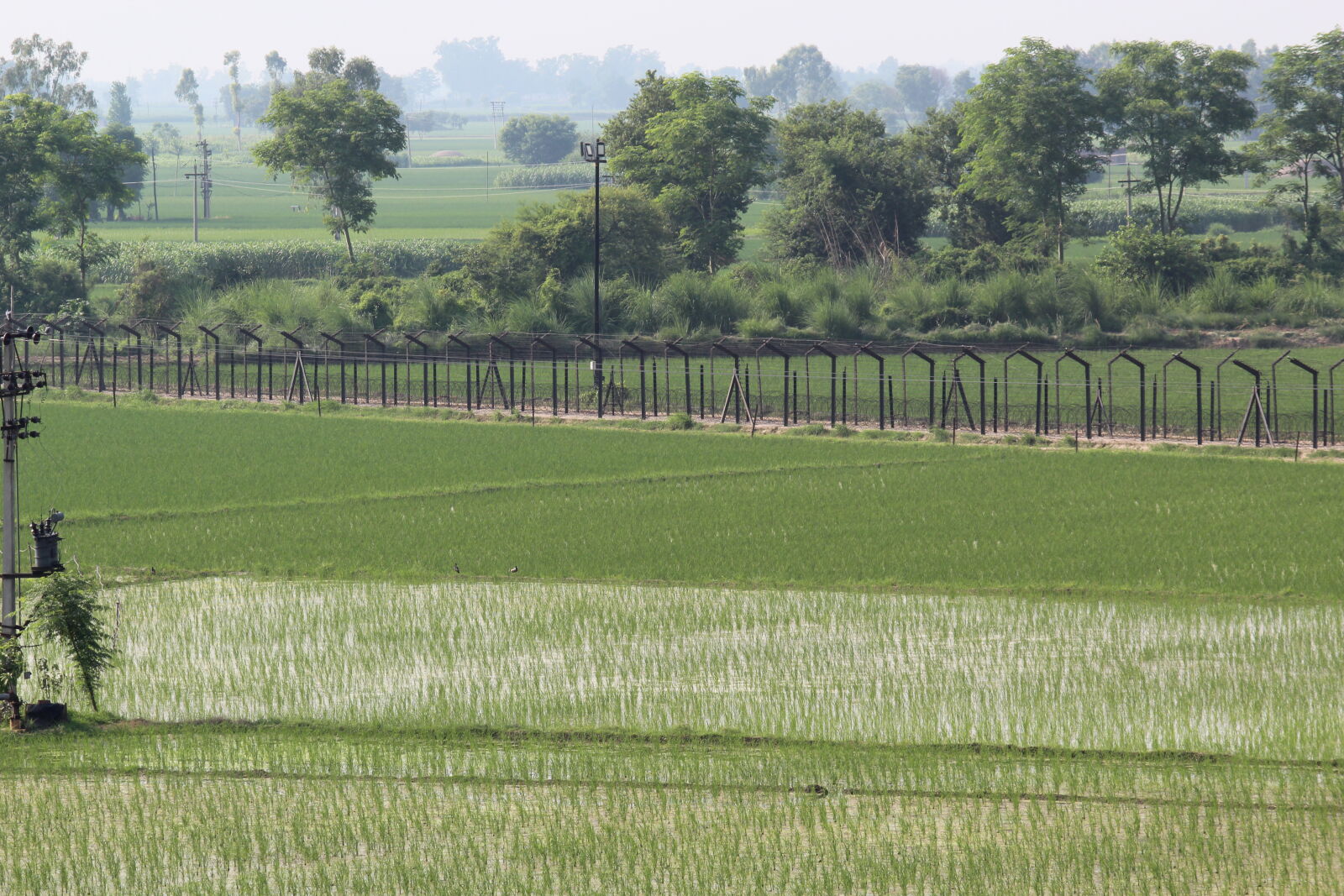 Canon EOS 1300D (EOS Rebel T6 / EOS Kiss X80) + Canon EF-S 55-250mm F4-5.6 IS II sample photo. Border, india, paddy, pakistan photography