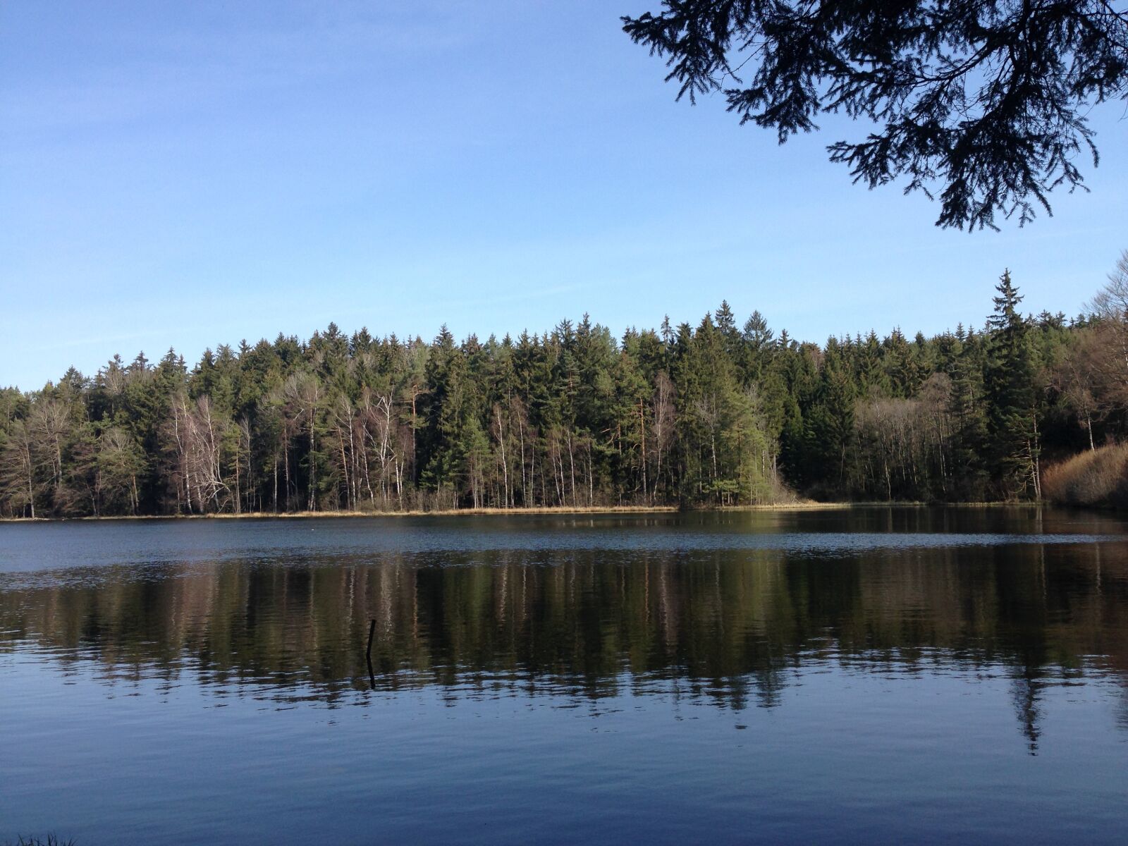 Apple iPhone 5c sample photo. Pond, lake, water photography