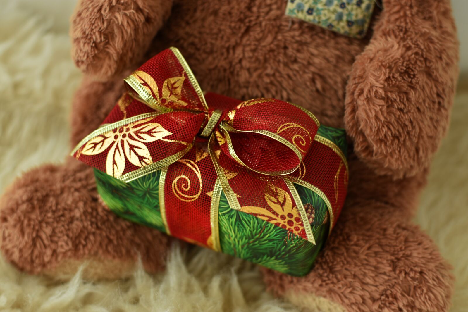 Nikon D3400 sample photo. Toy, bear, christmas photography