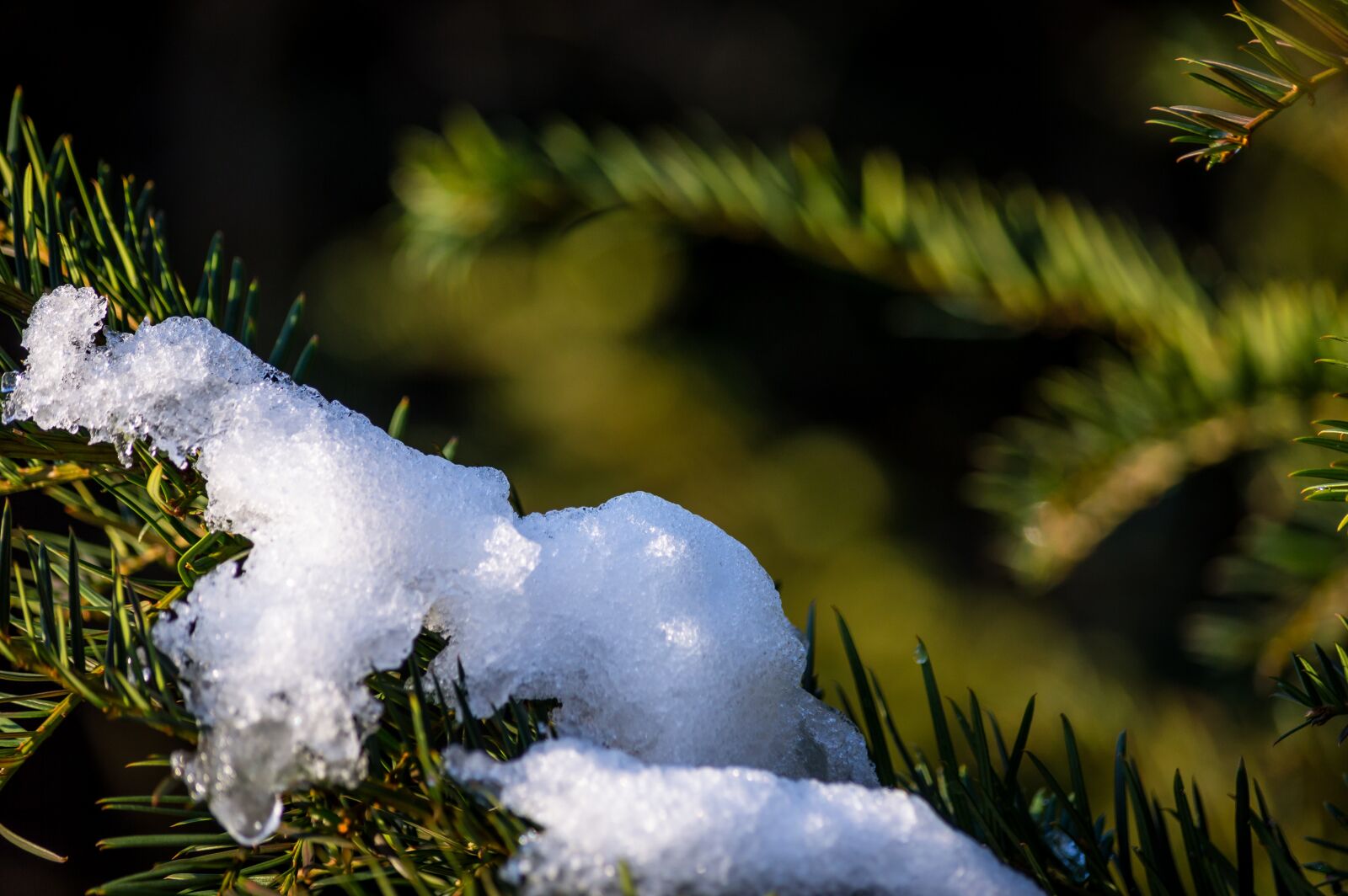 Nikon D3200 sample photo. Snow, ice, white photography