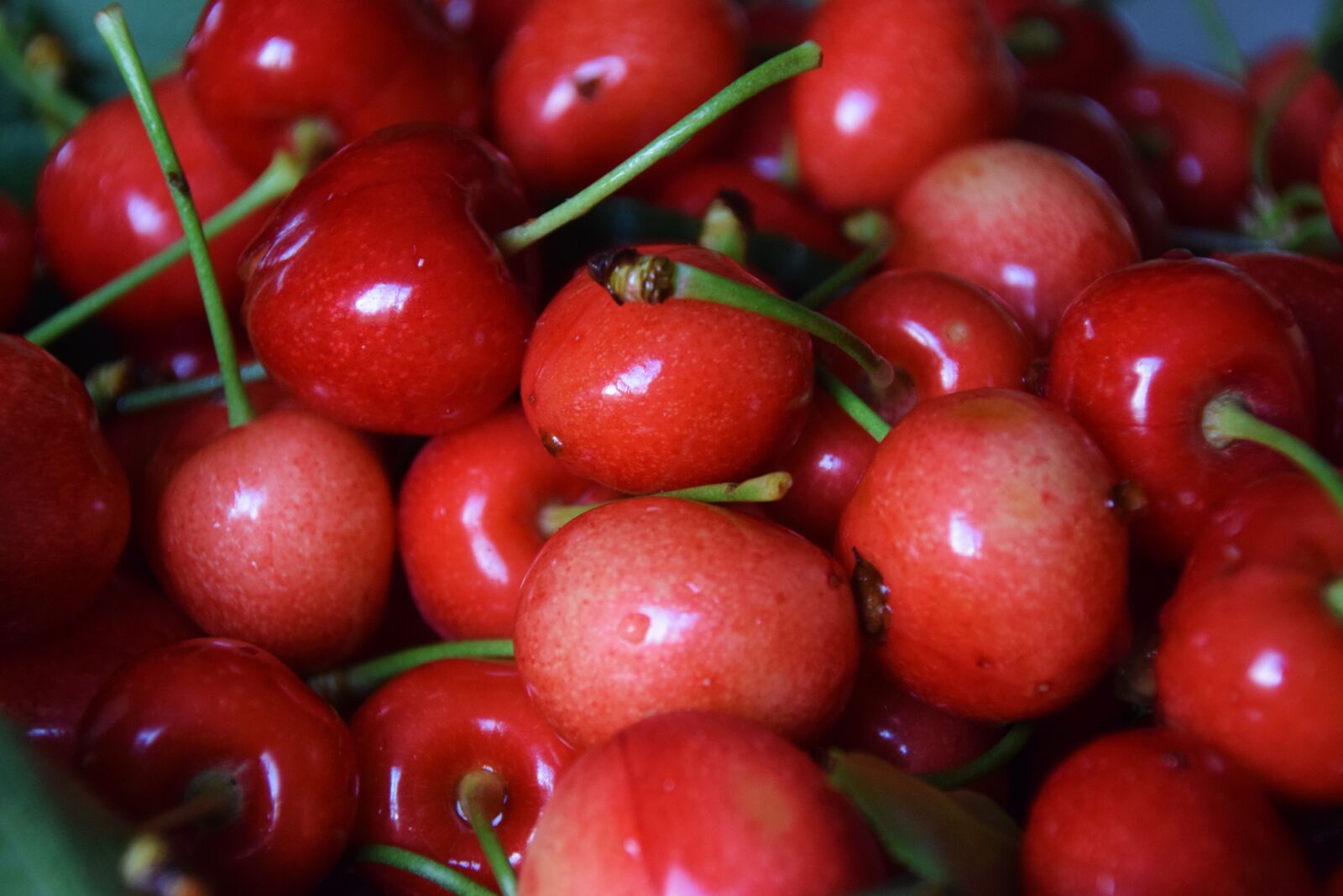 Nikon D5300 sample photo. Cherry, fruit, ripe photography