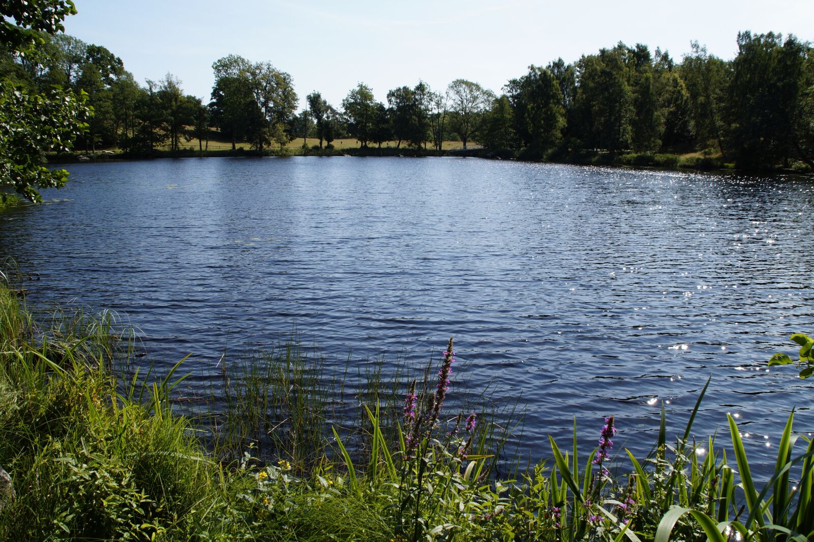 Sony SLT-A58 sample photo. Lake, nature, landscape photography