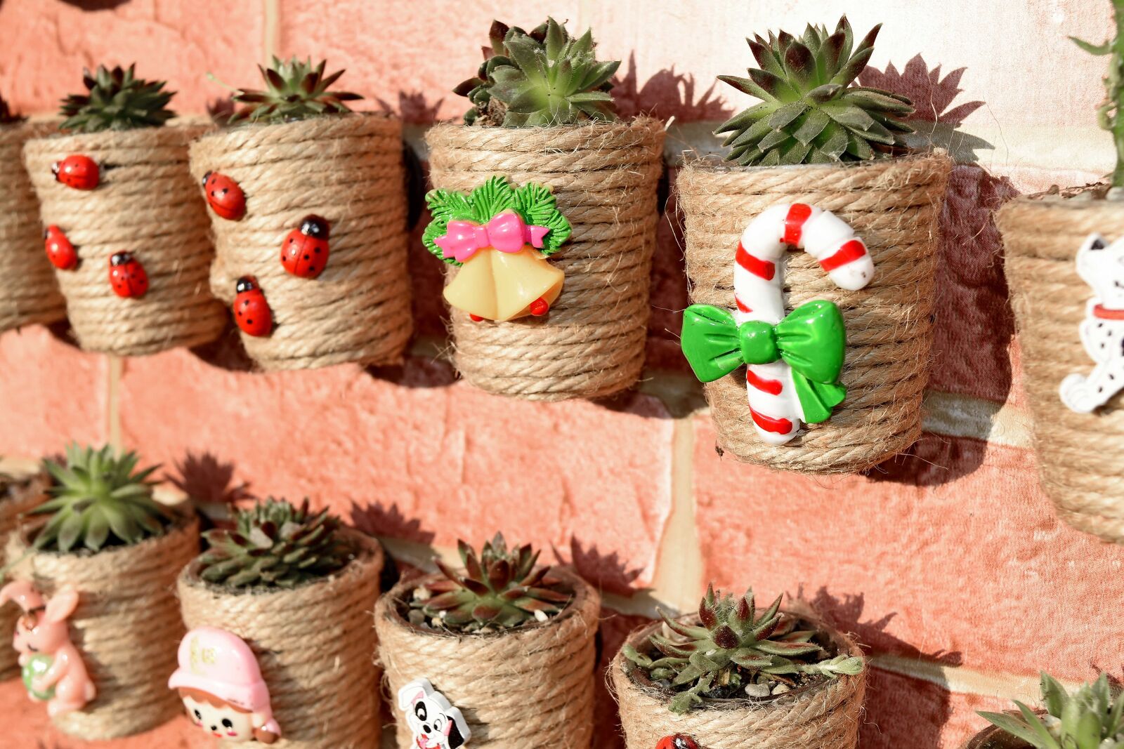 Nikon D5500 sample photo. Decoration, flowerpot, traditional, basket photography